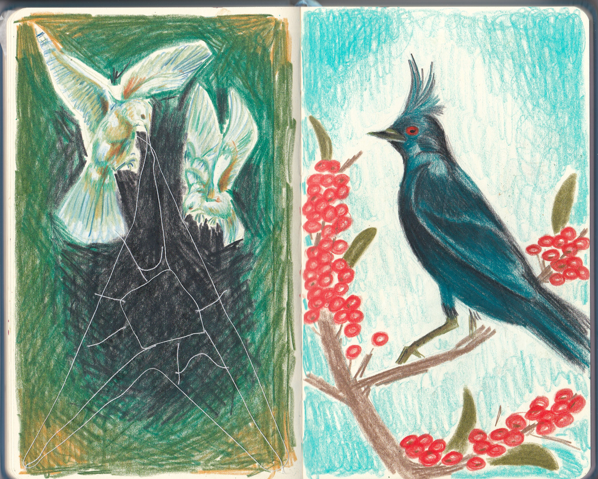 color pencil and thread for the spider web