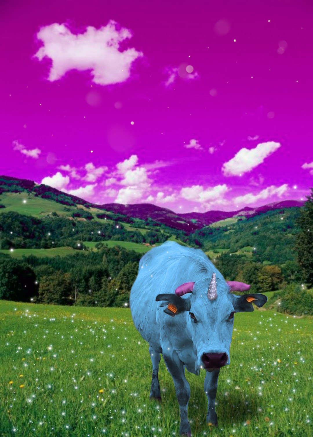 Fotomontaje