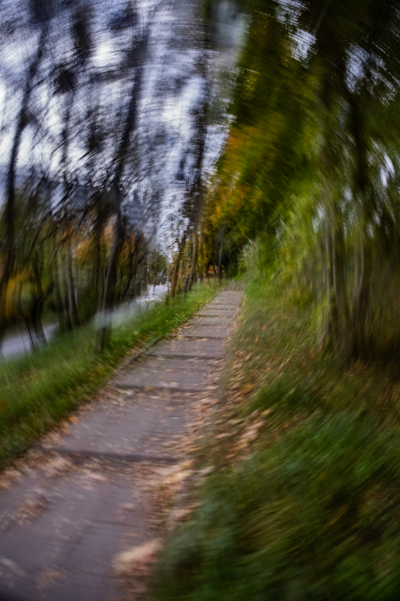 Blurred photo of a tree-lined sidewalk in autumn, with fallen leaves scattered on the path and motion blur creating a swirling effect, made in ICM technique.