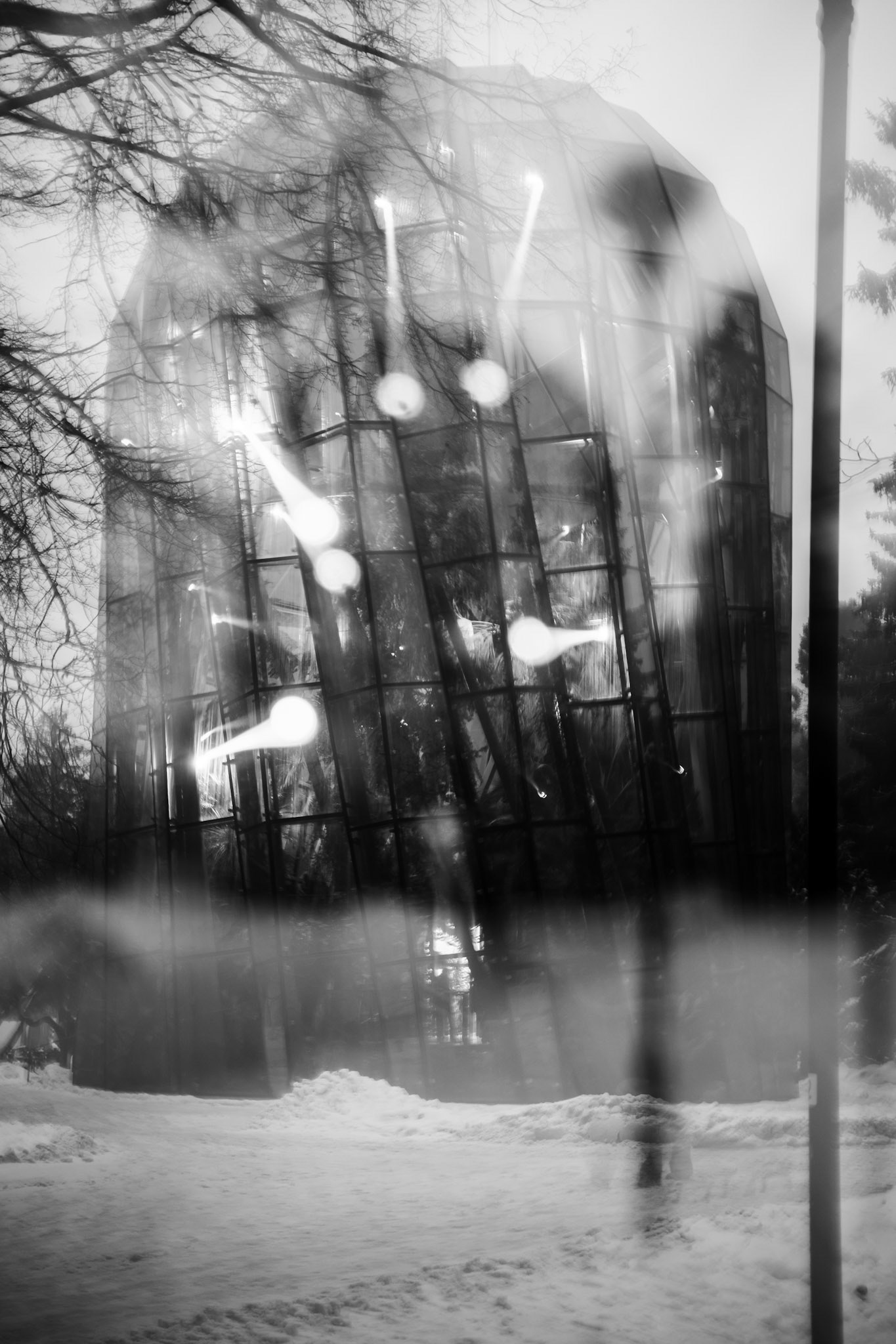 Black and white ICM photo of a modern glass greenhouse in a snowy park with light streaks and bare winter trees.
