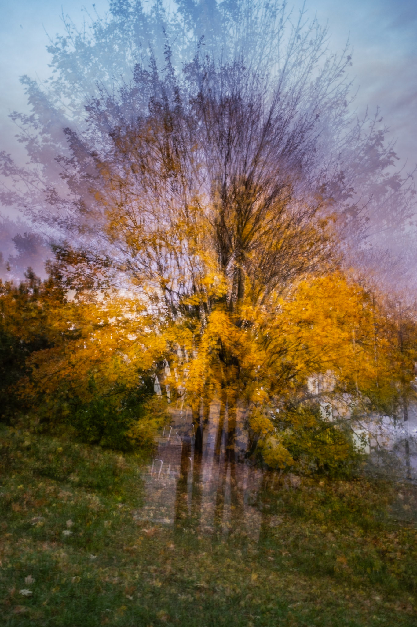 Abstract autumn landscape created with ICM photography technique, showing a tree with vibrant yellow leaves blending into a blurred motion effect under a soft sky.