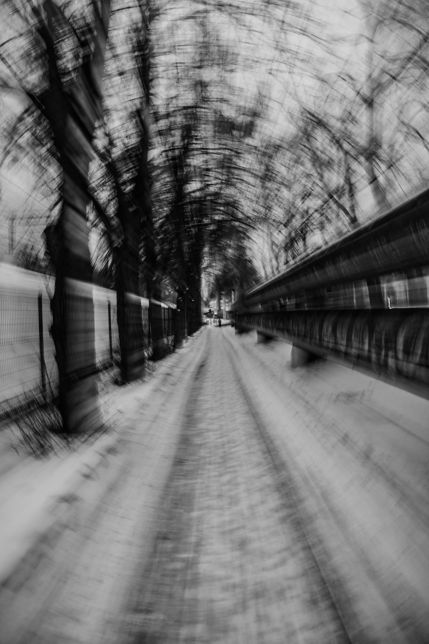 Black-and-white ICM photograph of a snowy tree-lined pathway with a fence on the left and an elevated structure on the right, creating a tunnel-like perspective and a sense of speed and movement.