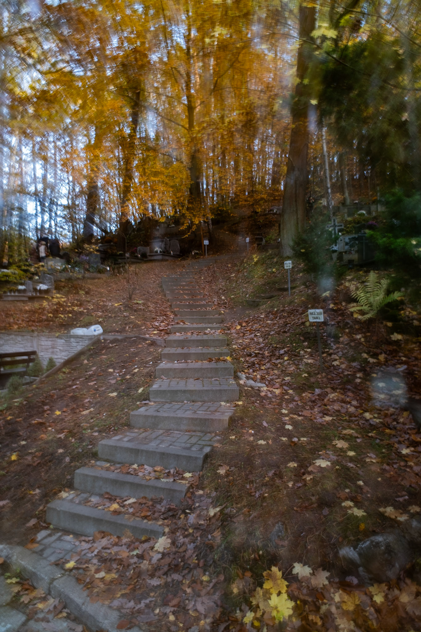 ICM photography of an autumn forest cemetery with a staircase leading uphill through fallen leaves and colorful trees, blending motion and light for an abstract, painterly effect.