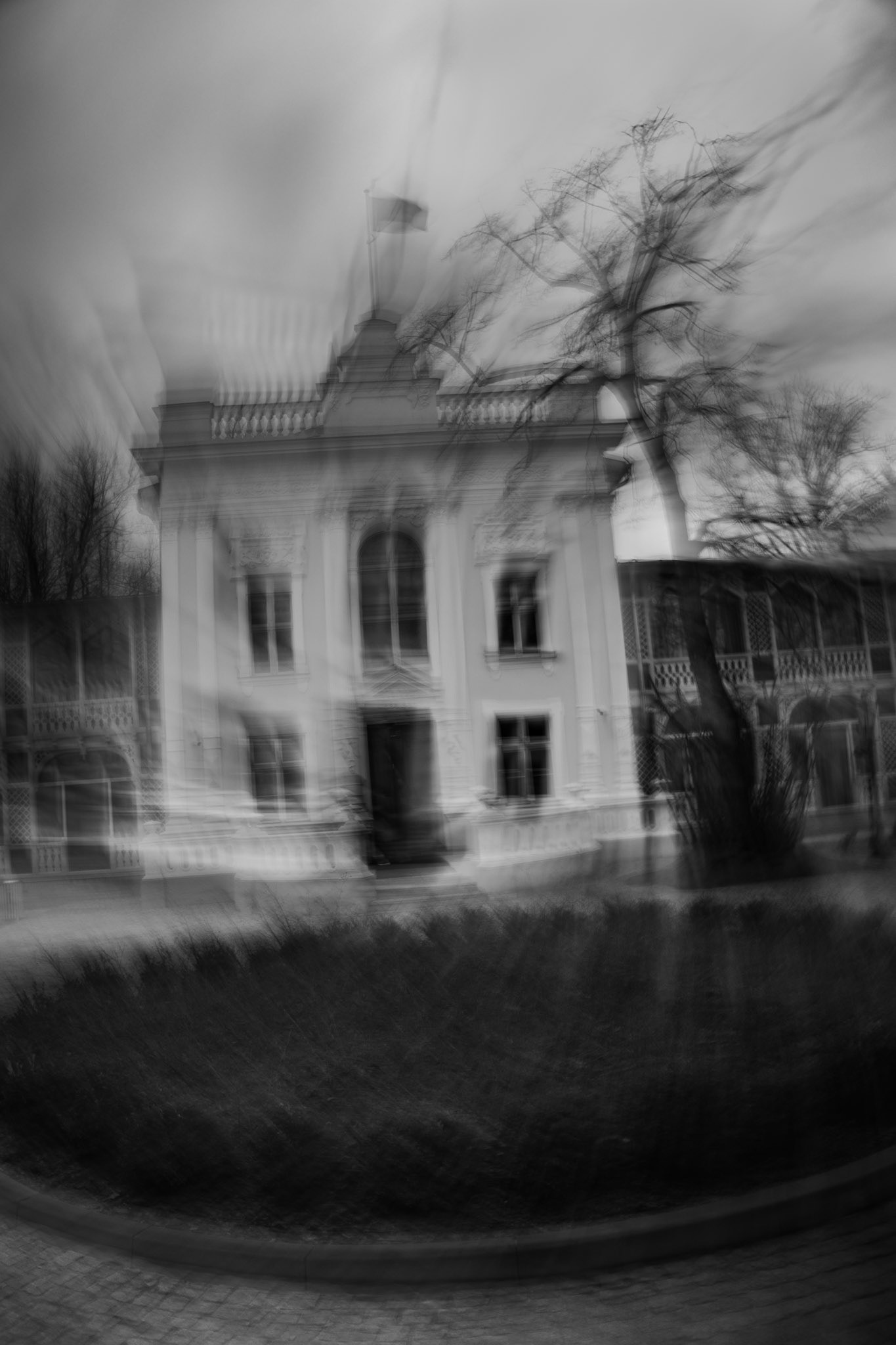 Blurred black-and-white photo of a historic mansion with classical architecture, featuring tall windows, ornate railings, and a central entrance, partially obscured by a leafless tree in the foreground.