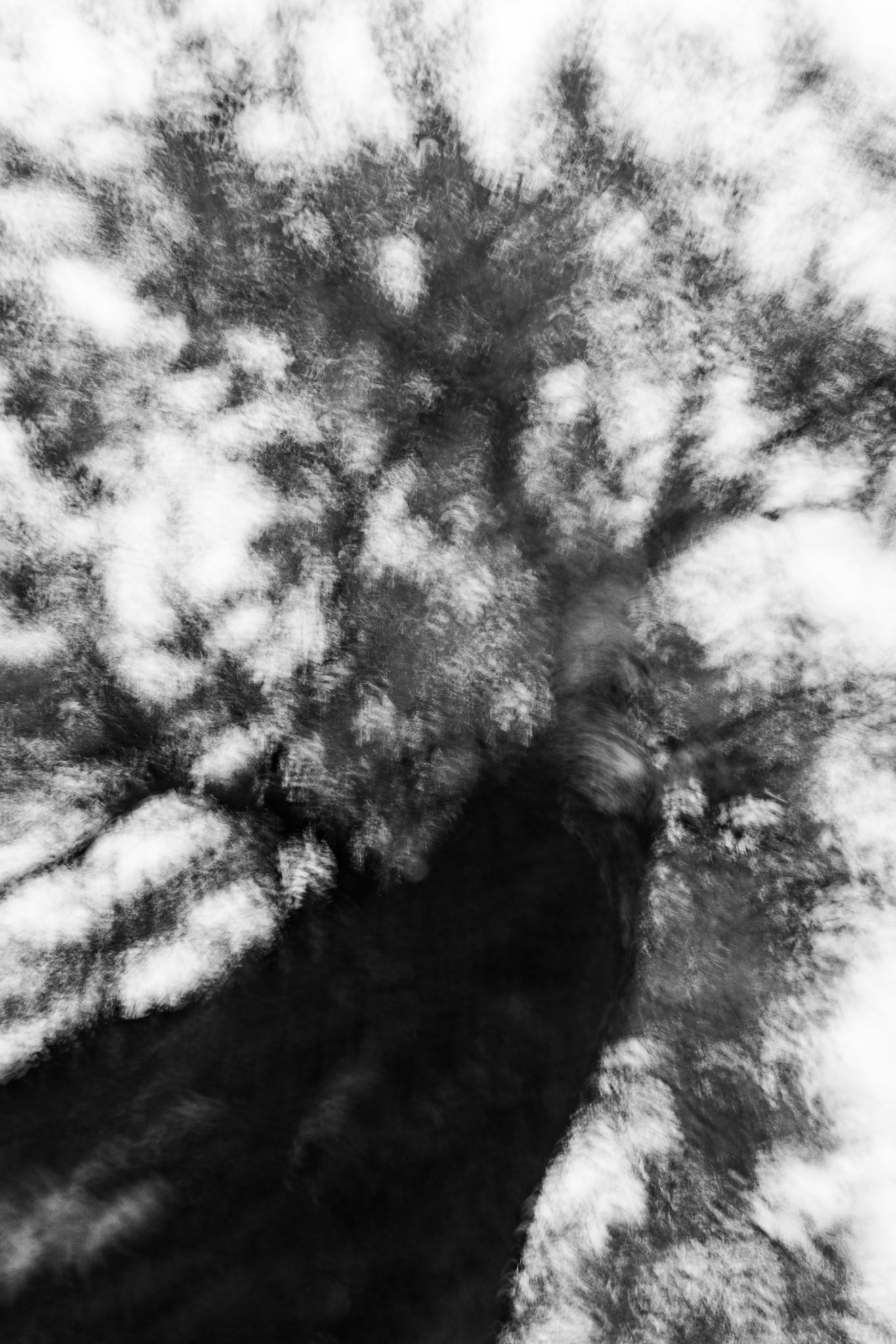 'Restlessness' series