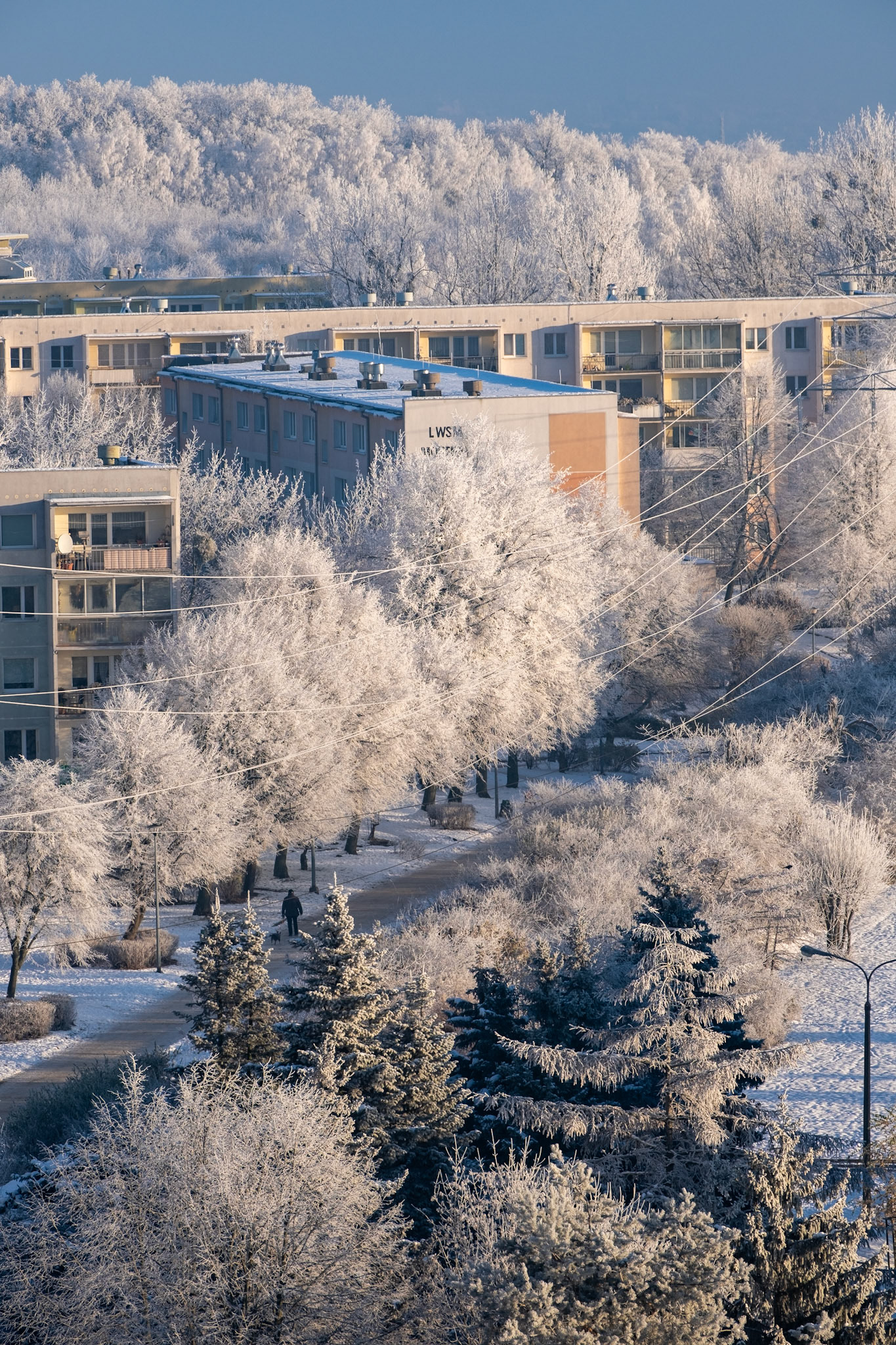 'Mroźny poranek', second place in Districts category in Mój Gdańsk 2025