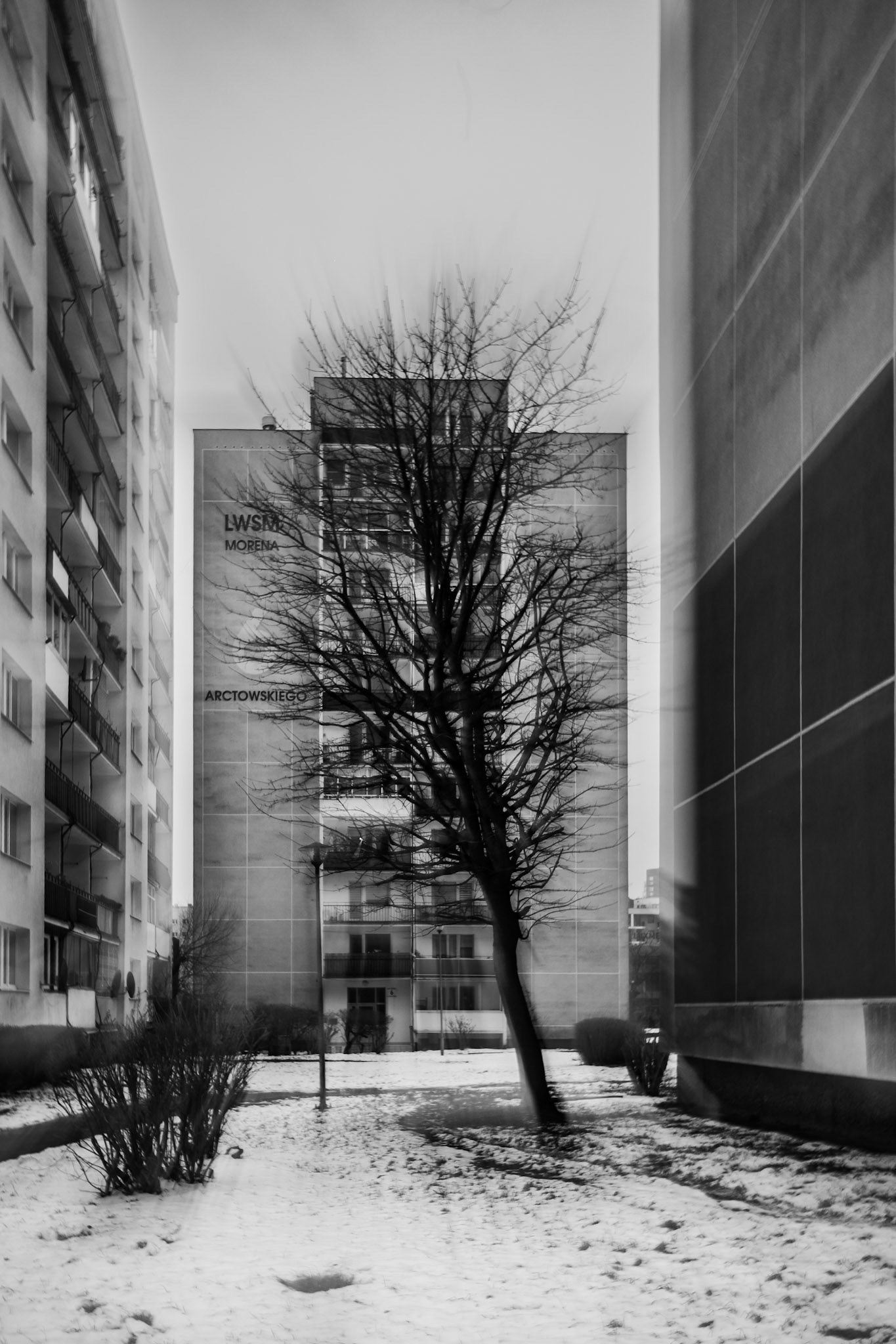 Black-and-white urban scene with a leafless tree in the foreground, snow-covered ground, and modern apartment buildings on both sides, creating a narrow city courtyard in winter.