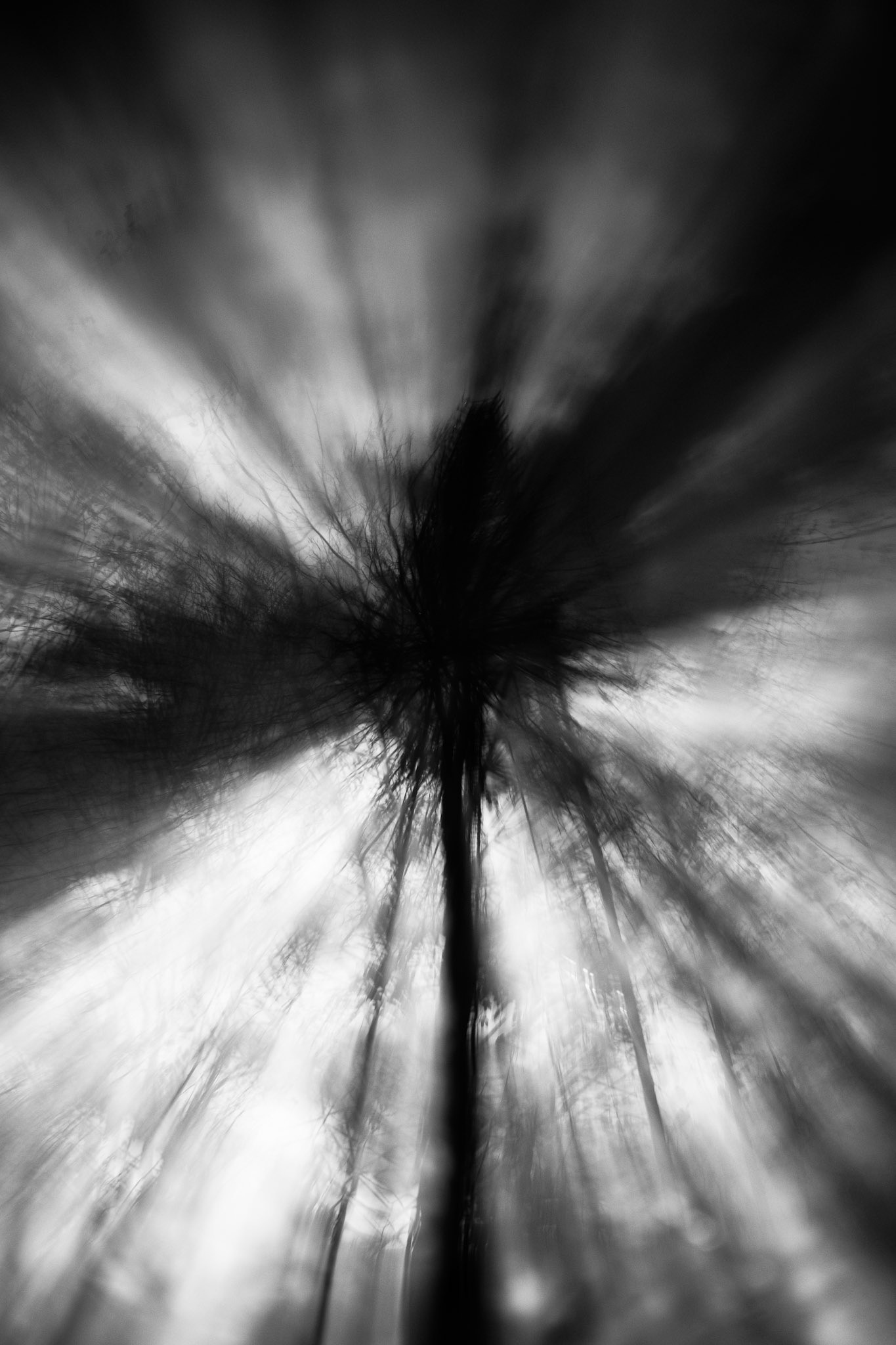 'Restlessness' series