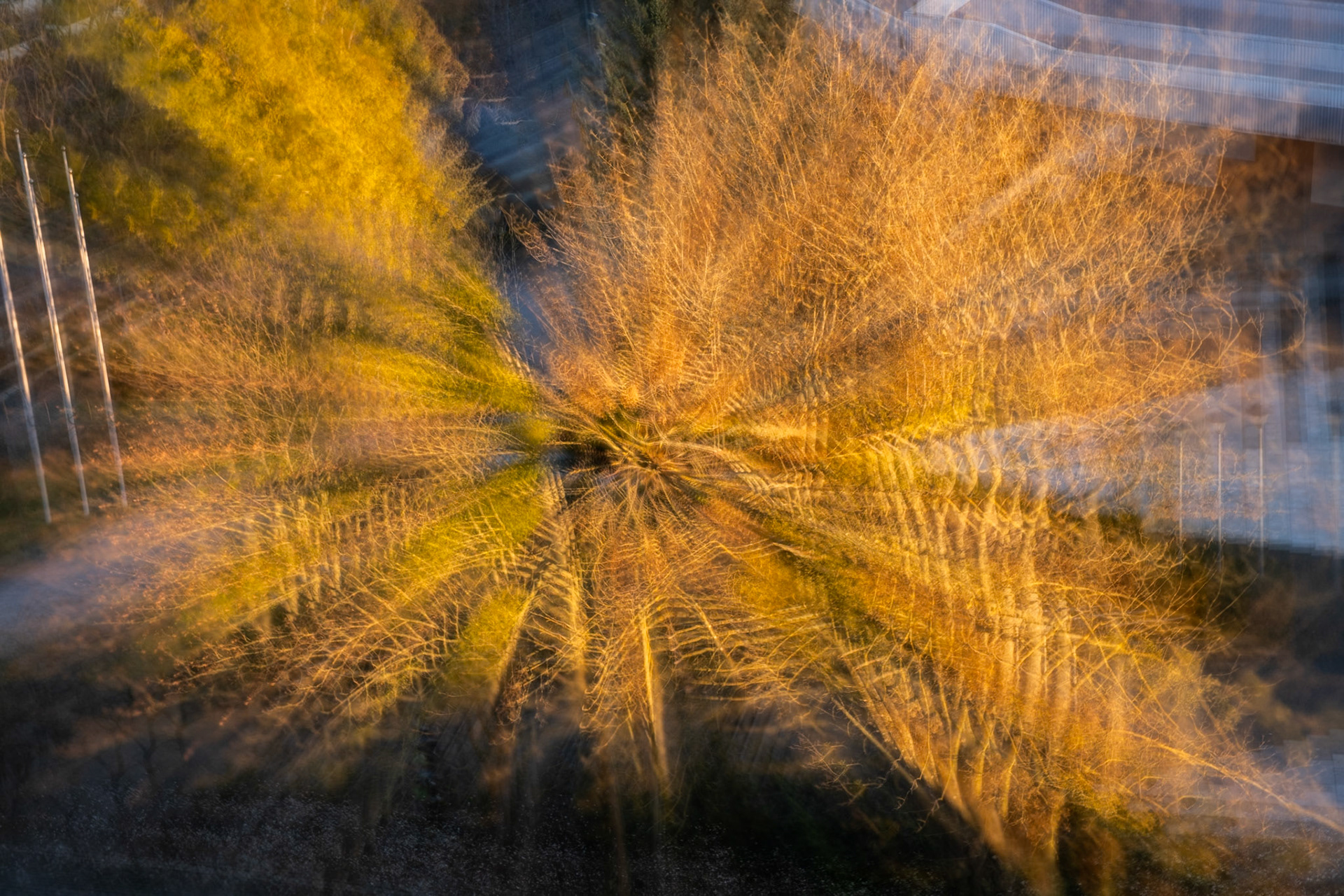 Abstract aerial view of golden autumn trees with motion blur creating a radial pattern.