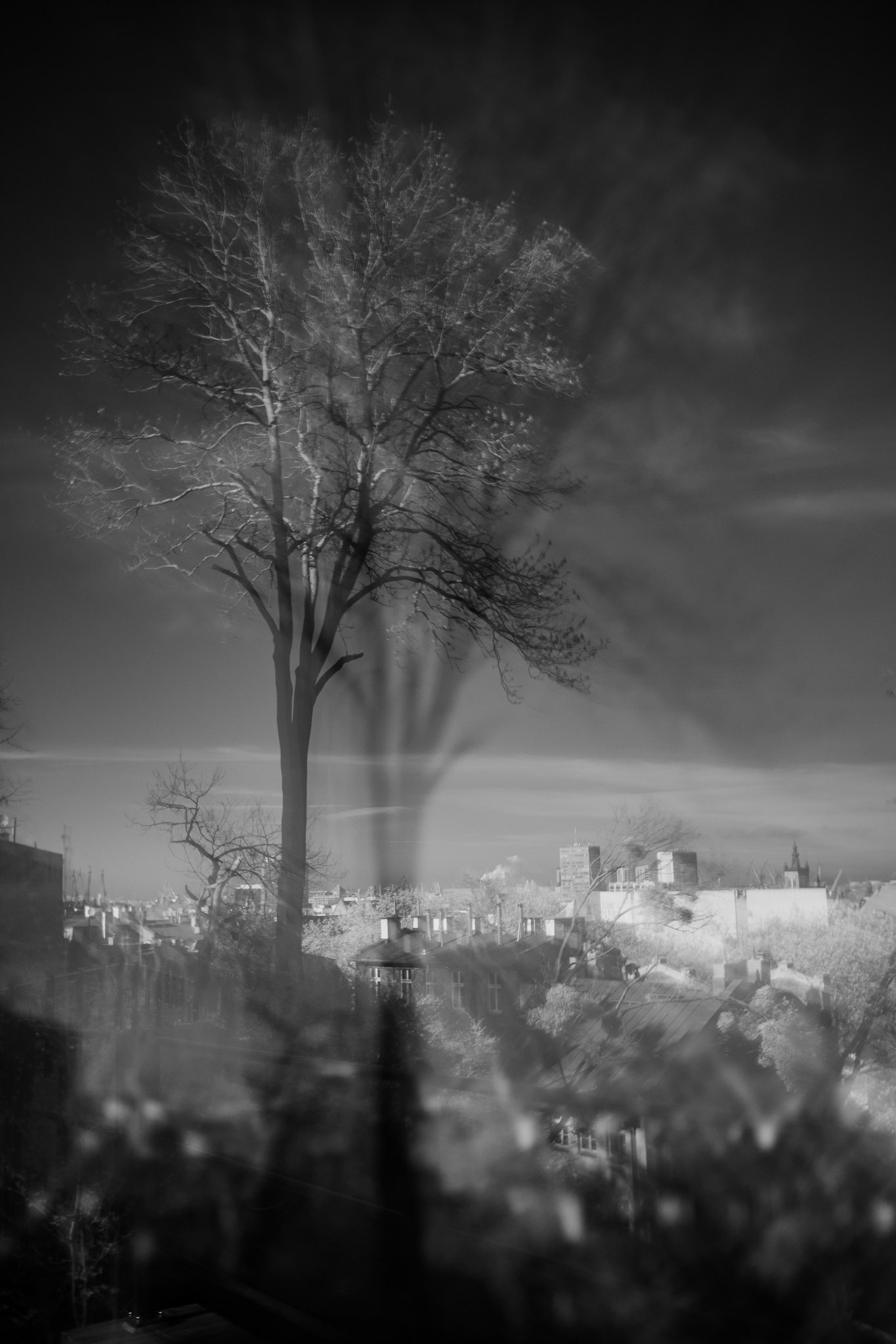 Surreal, black and white double-exposure photograph of a bare tree layered over a hazy urban skyline.