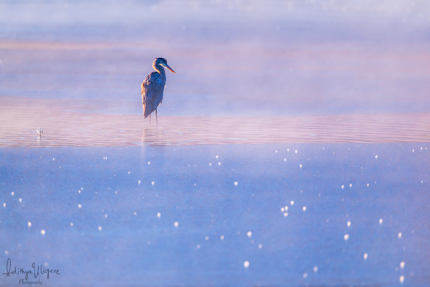 On a chilly winter morning..