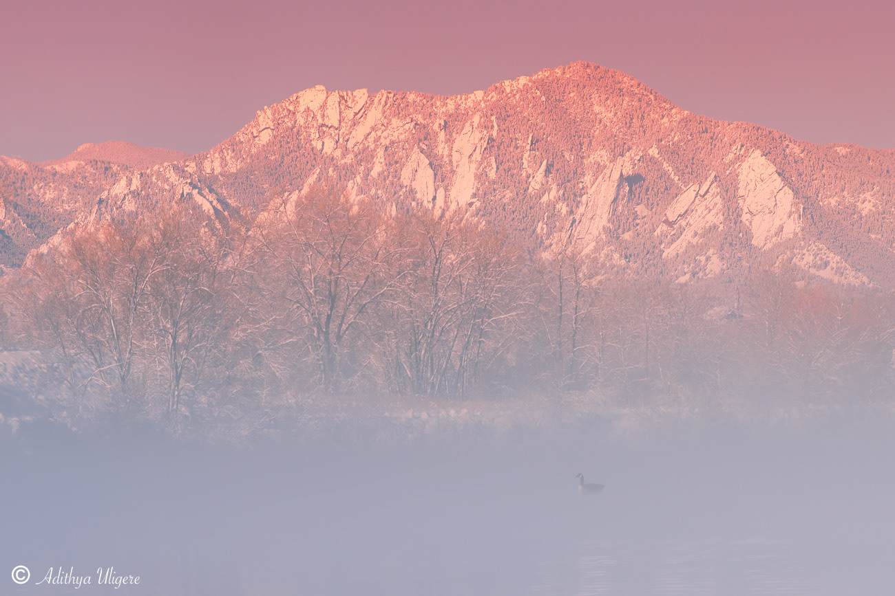 Flatiron Sunrise