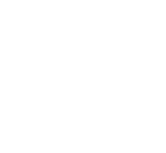 MZ STUDIO
