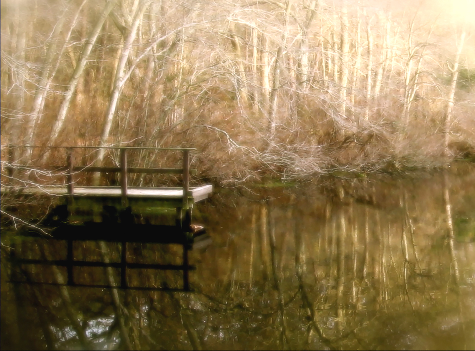 Connetquot River, NY