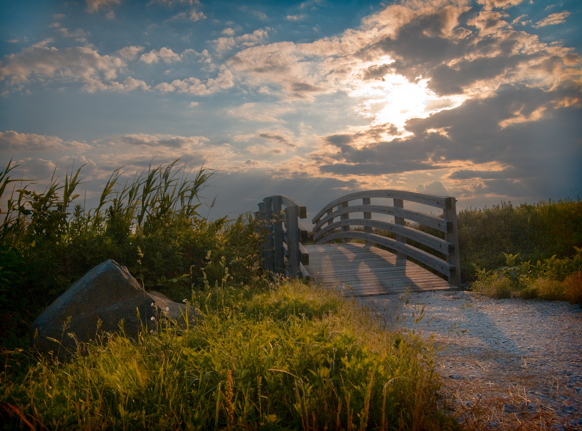 Levy Preserve, Long Island, NY
