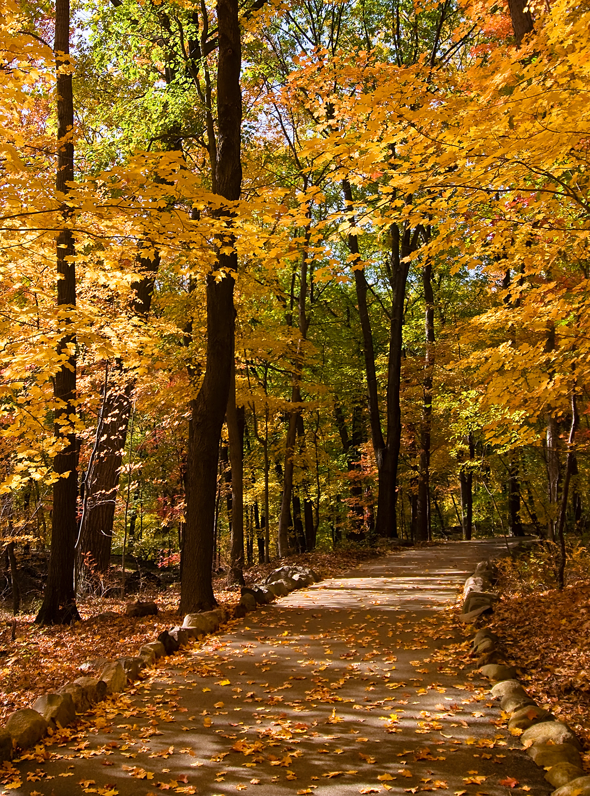 Bear Mt, Hudson Valley, NY