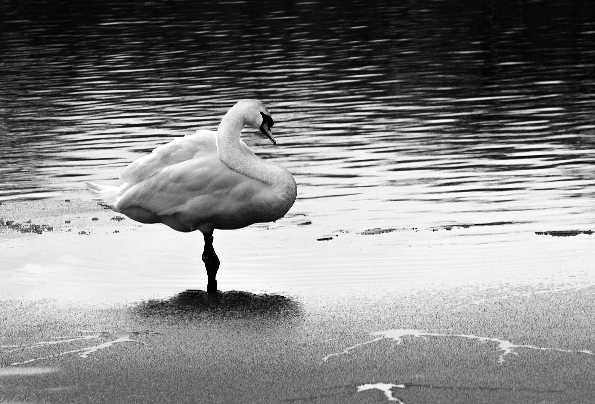 Wantagh Preserve, NY