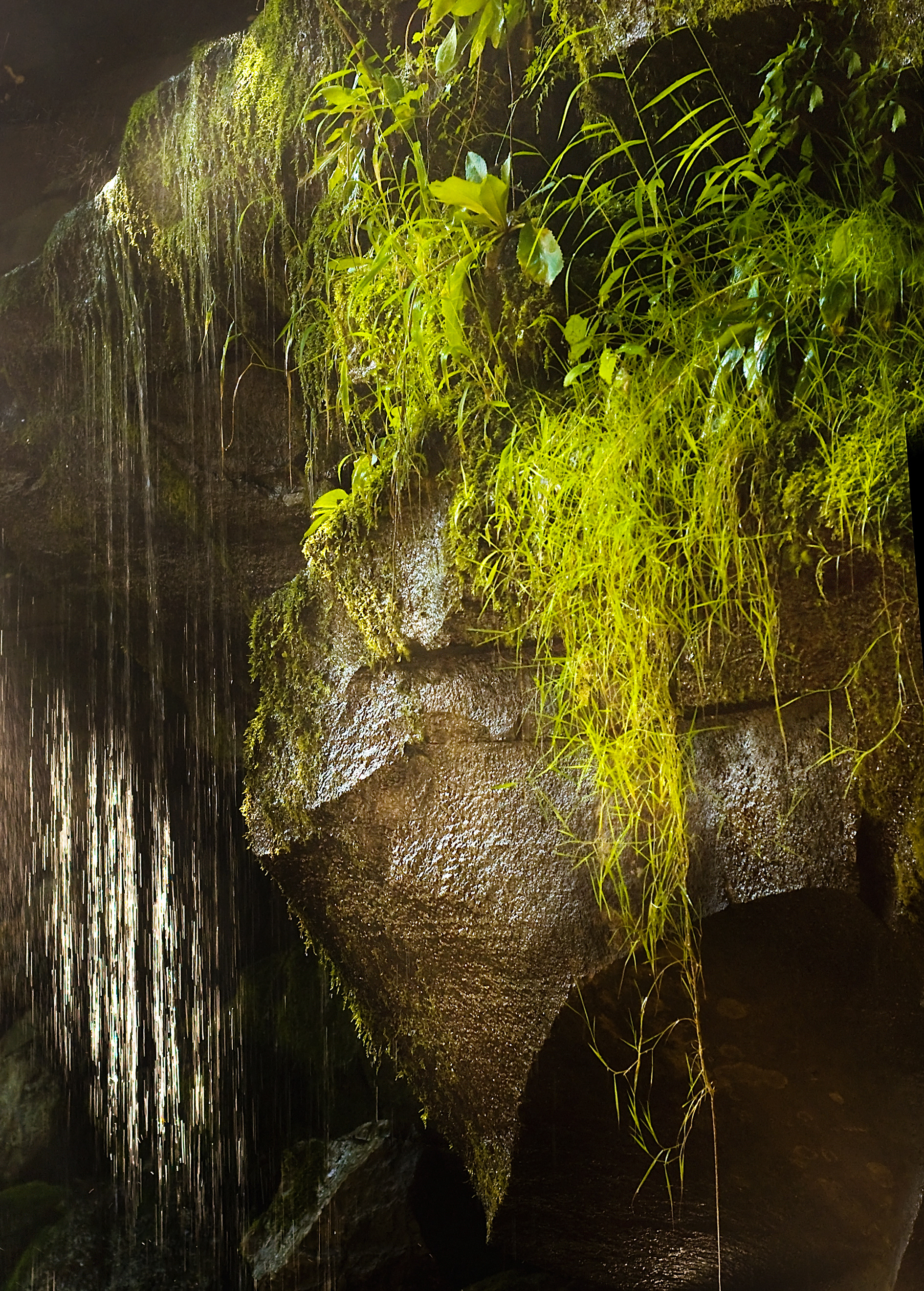 Kaaterskill Creek, NY