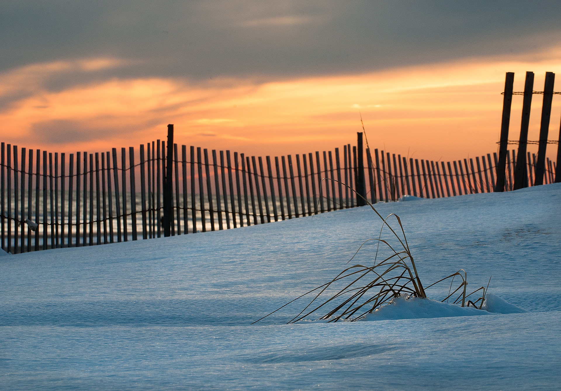 Robert Moses SP, Long Island, NY