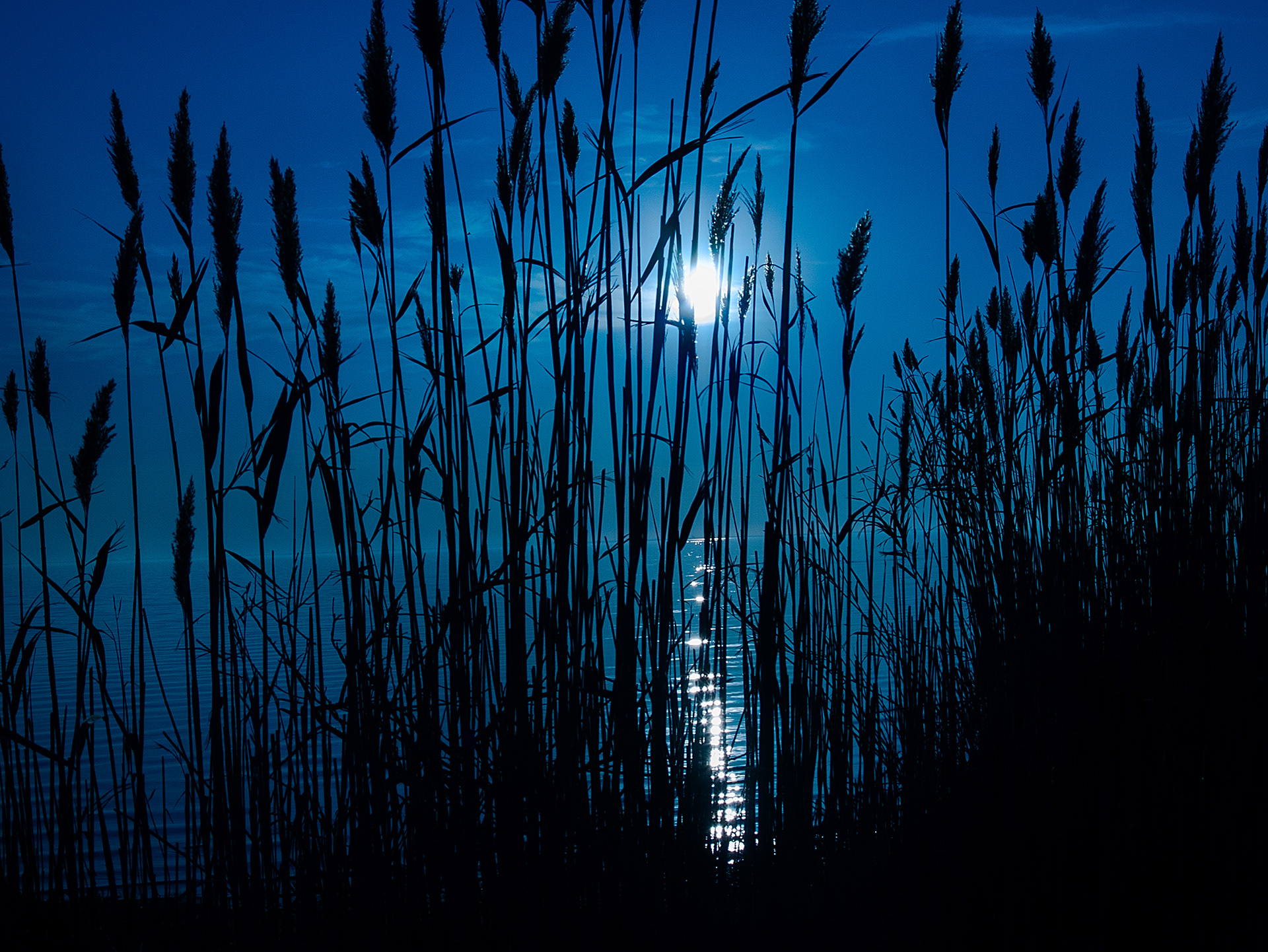 Hecksher SP, Long Island, NY