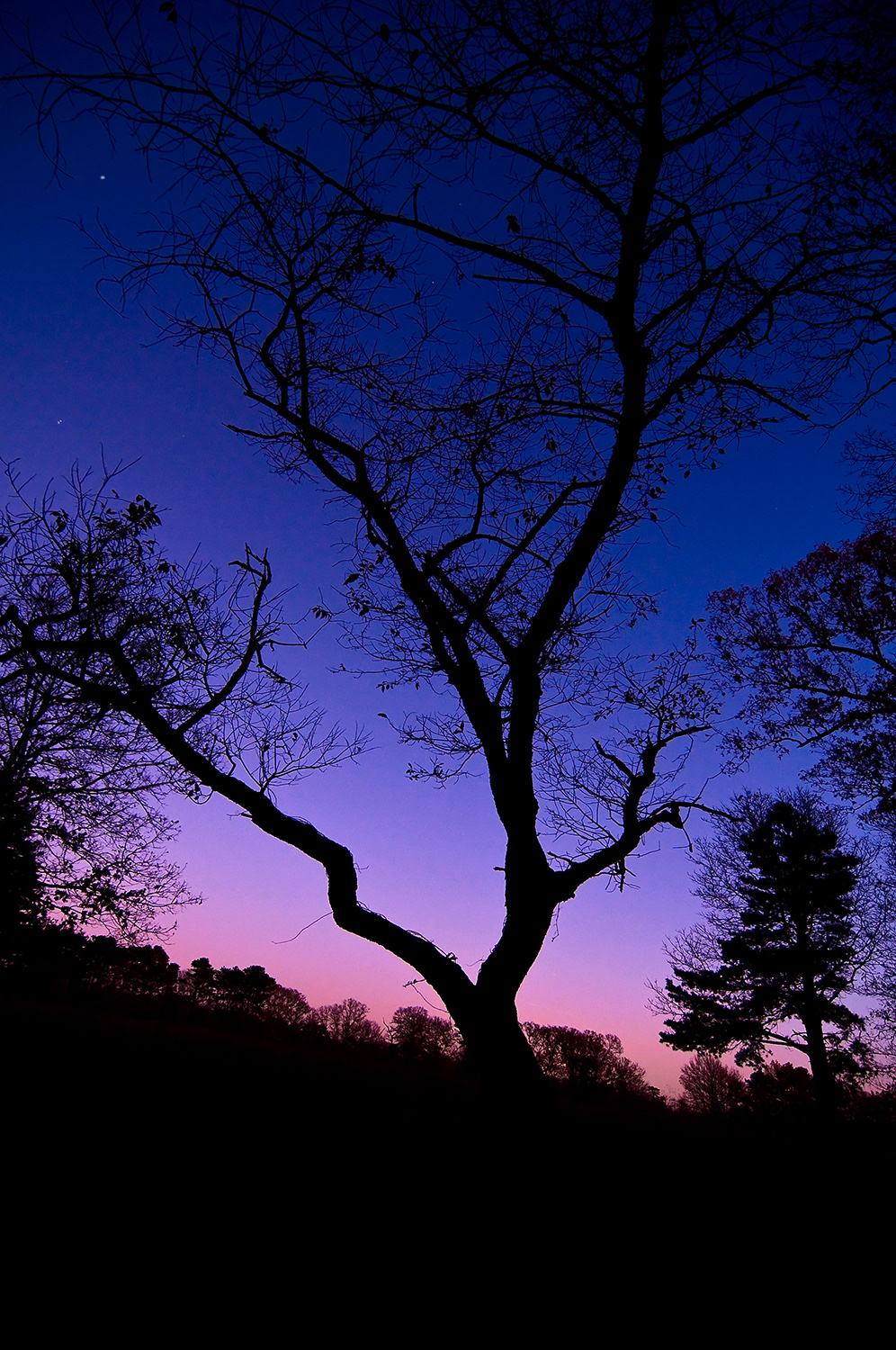 Connetquot SP, Long Island, NY