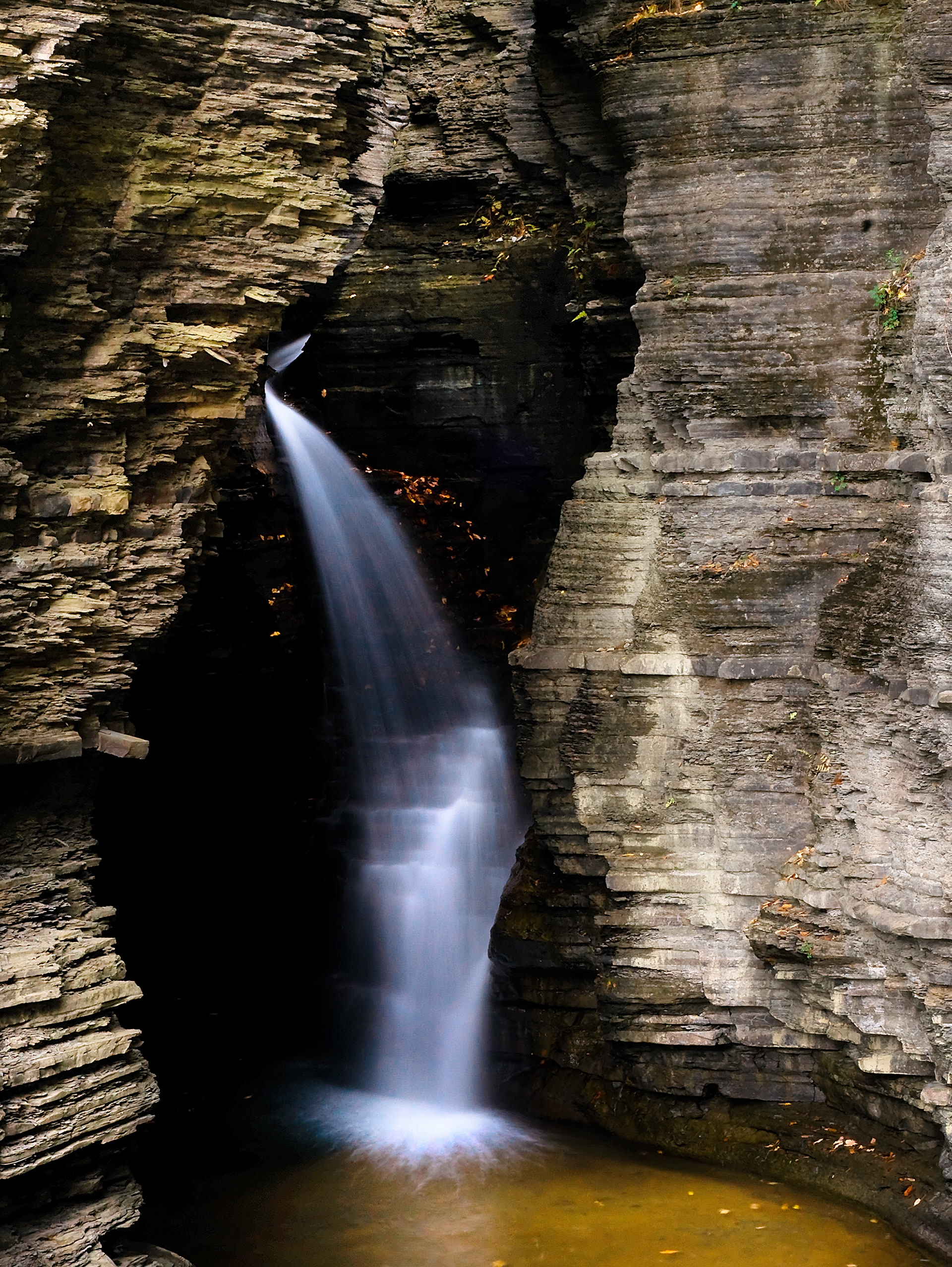 Watkins Glen, NY