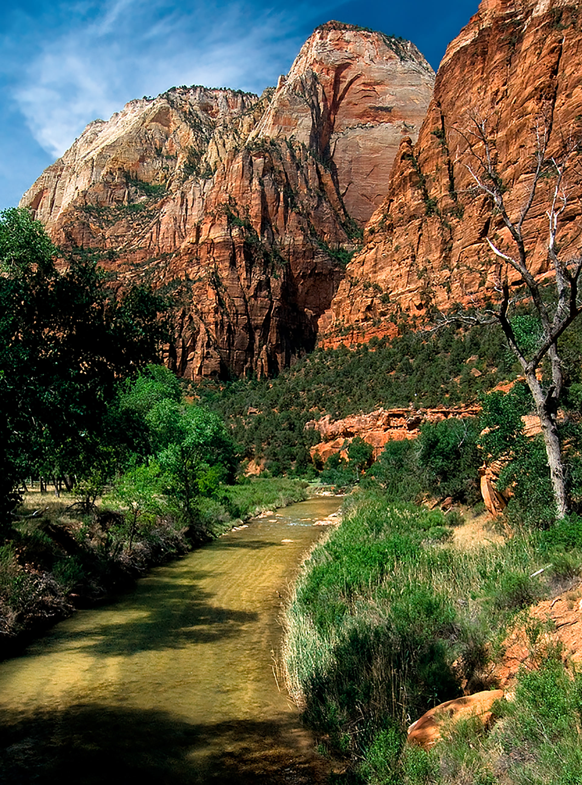 Virgin River, Zion NP, UT
