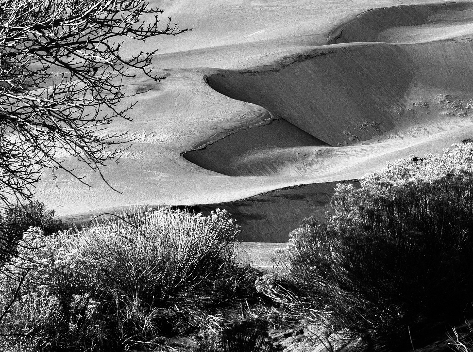 Great Sand Dunes NP, CO