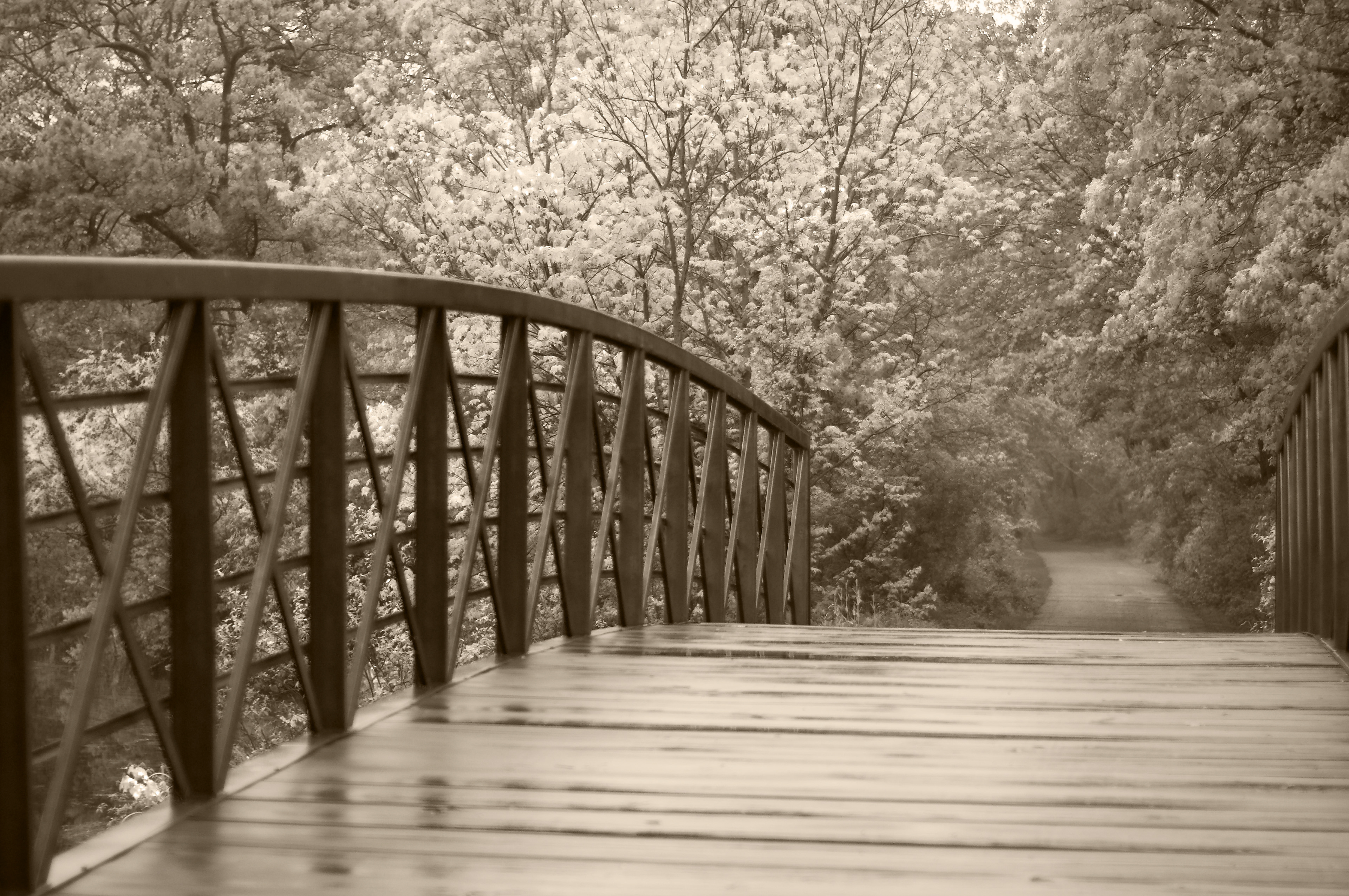 Massapequa Preserve, NY