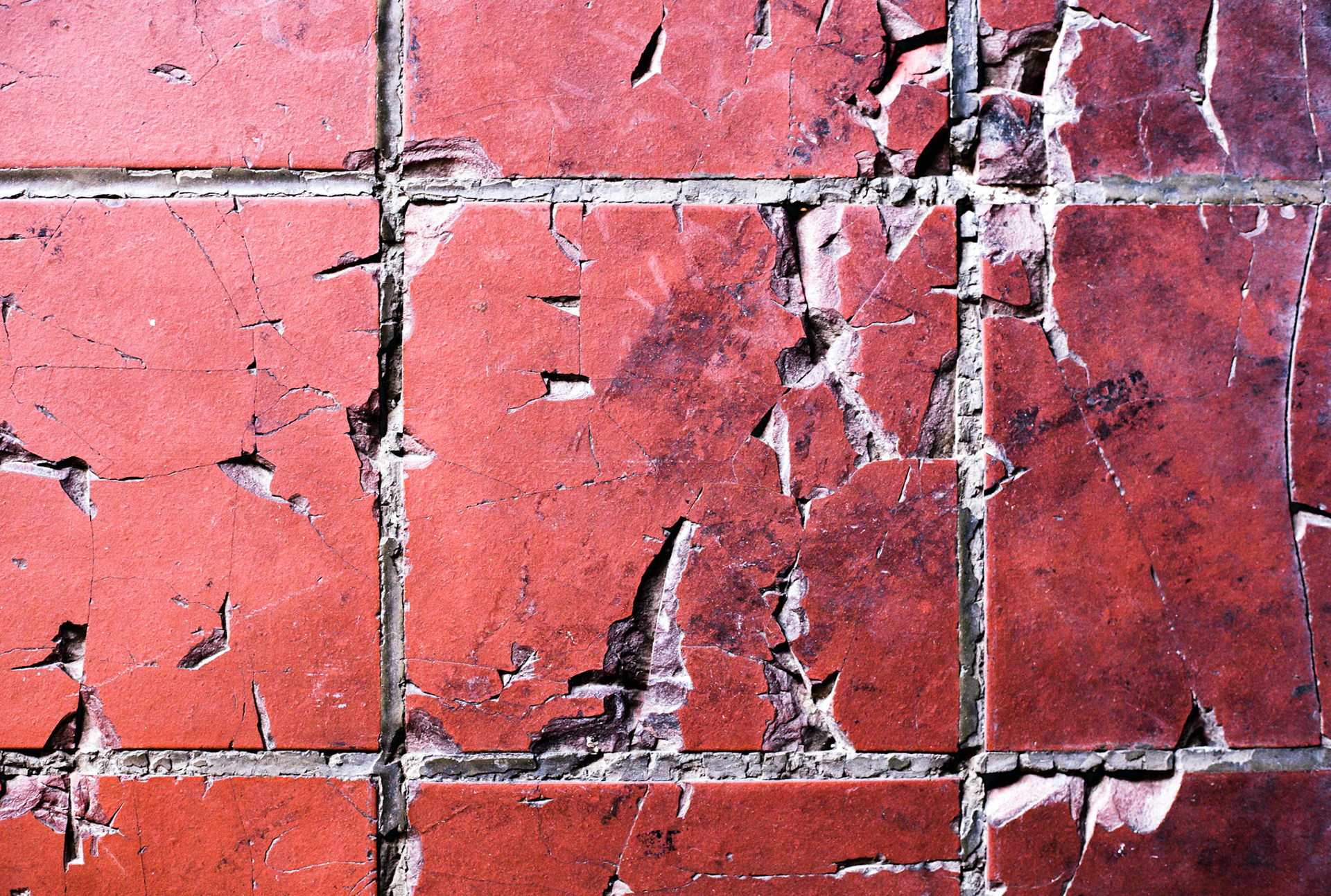 The Grace in Our Scars