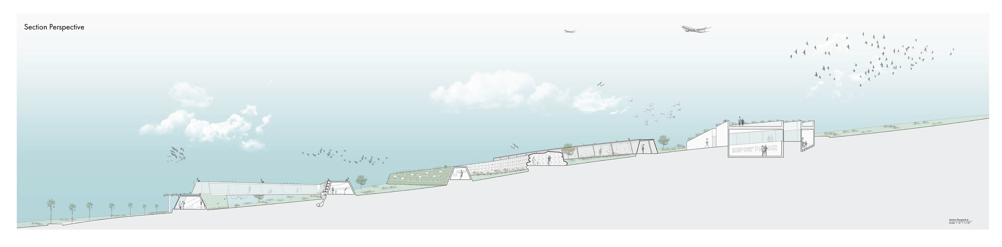 Section Perspective