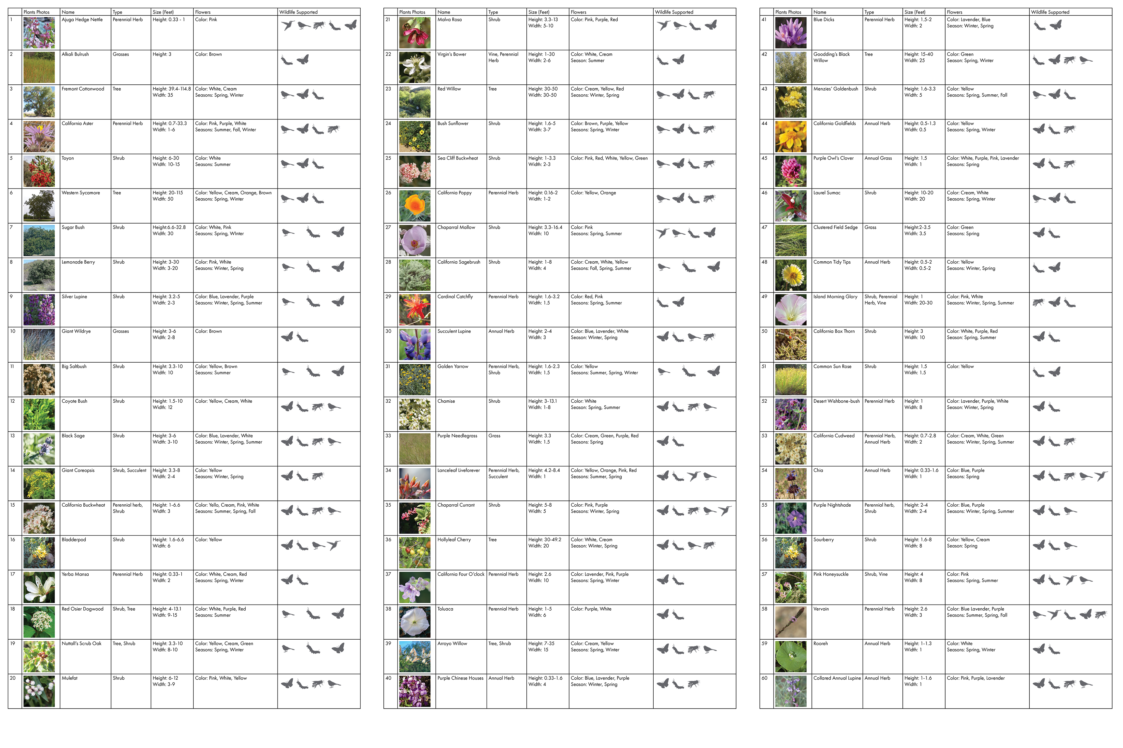 List of Native Plants