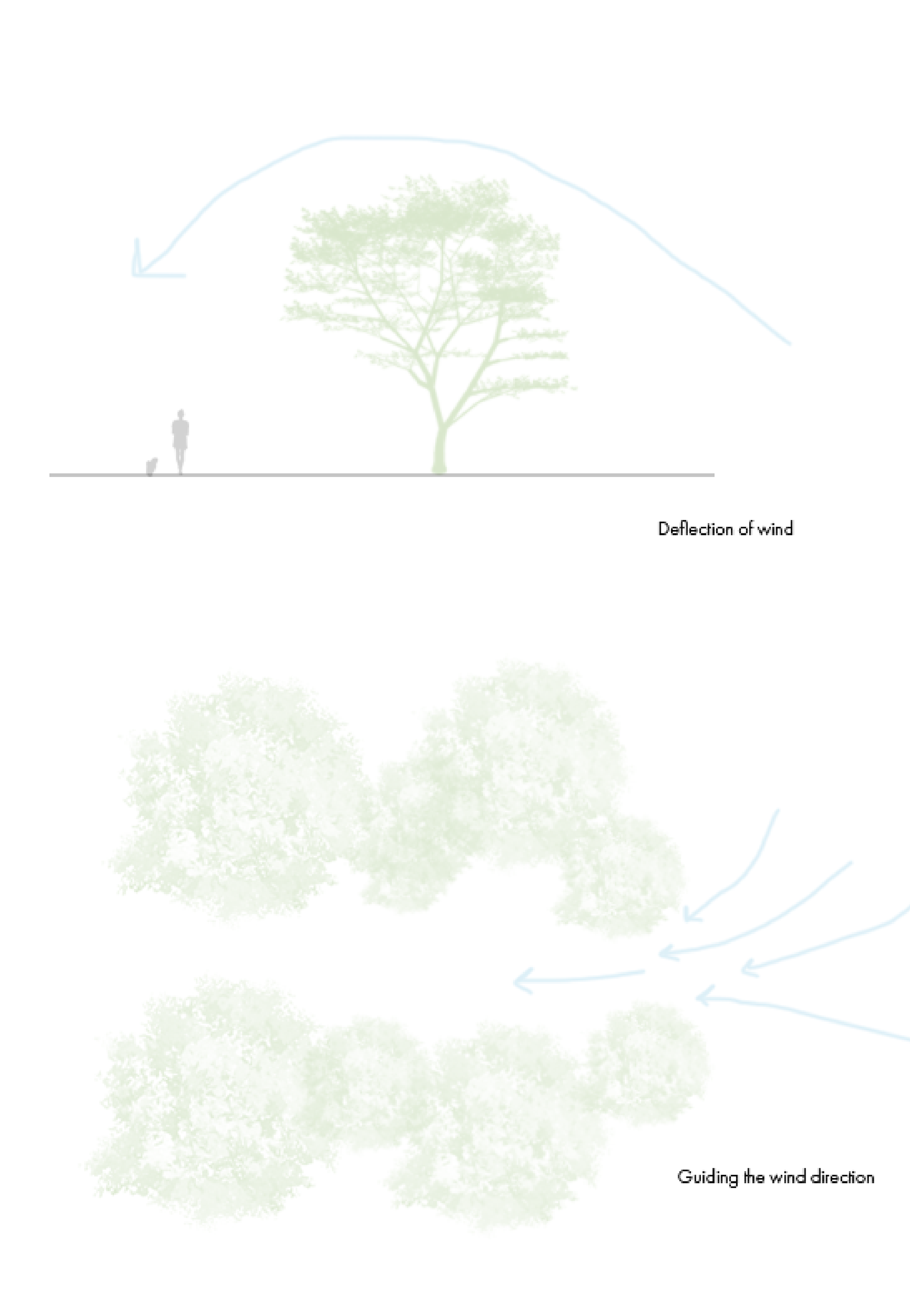Wind Diagram