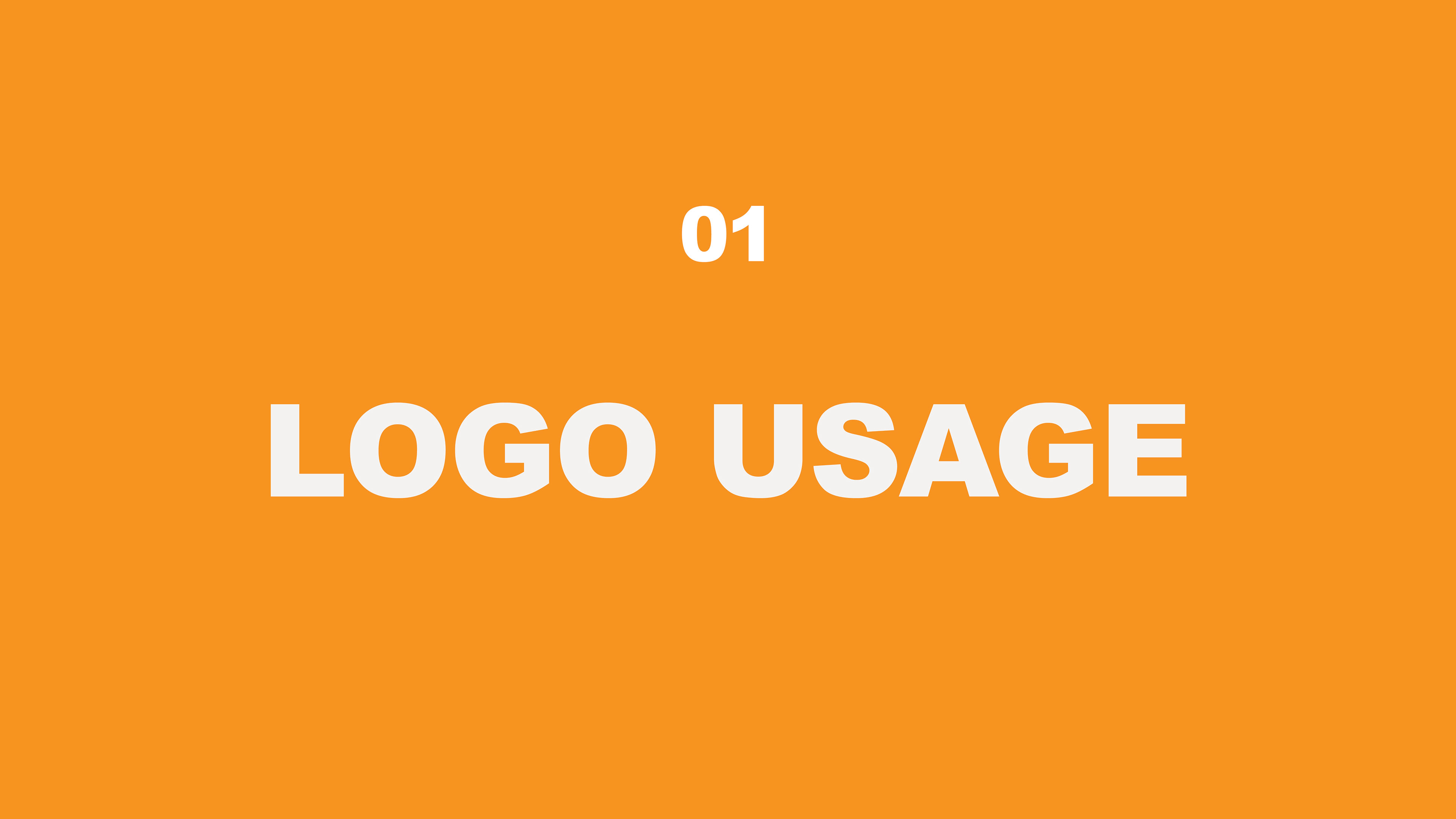 This slide of the presentation has the name Logo Usage including 01 in a white colour and the background colour is in a orange colour.