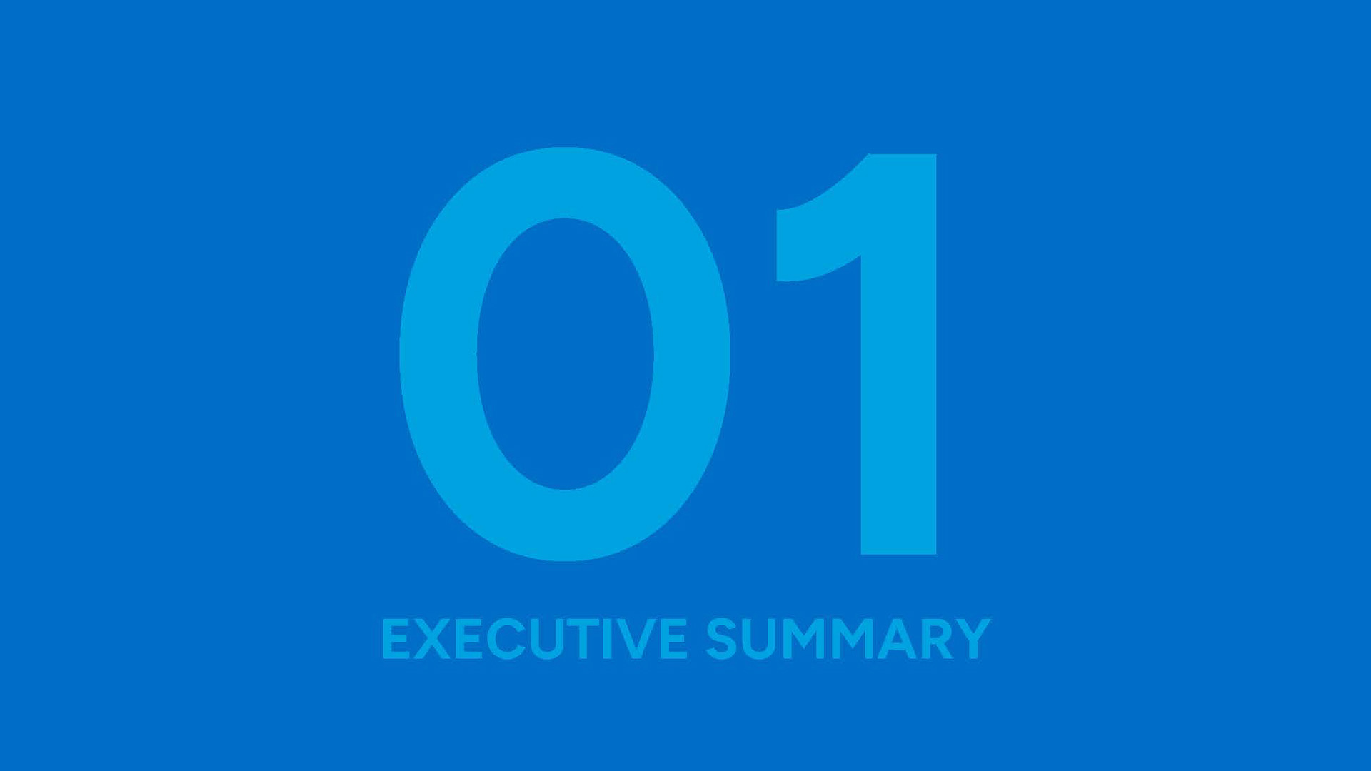 This slide of the presentation slide is in a blue colour where the number 1 and the words executive summary is in a light blue colour and the background is in a blue colour.