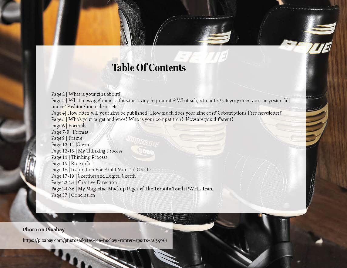 This slide of the presentation has the table of contents where the background image is hockey skates. All the writing in the table of contents as well as the citation of the image on the slide is in a black colour with a transparent background.