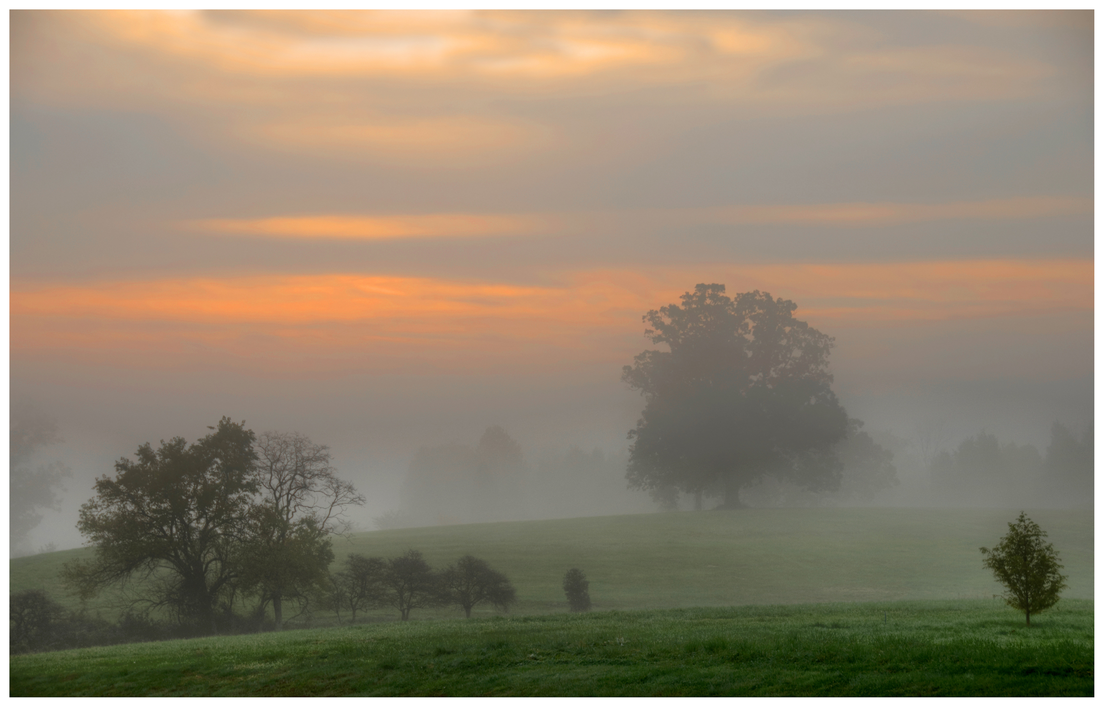 Print 22...Trees in mist...