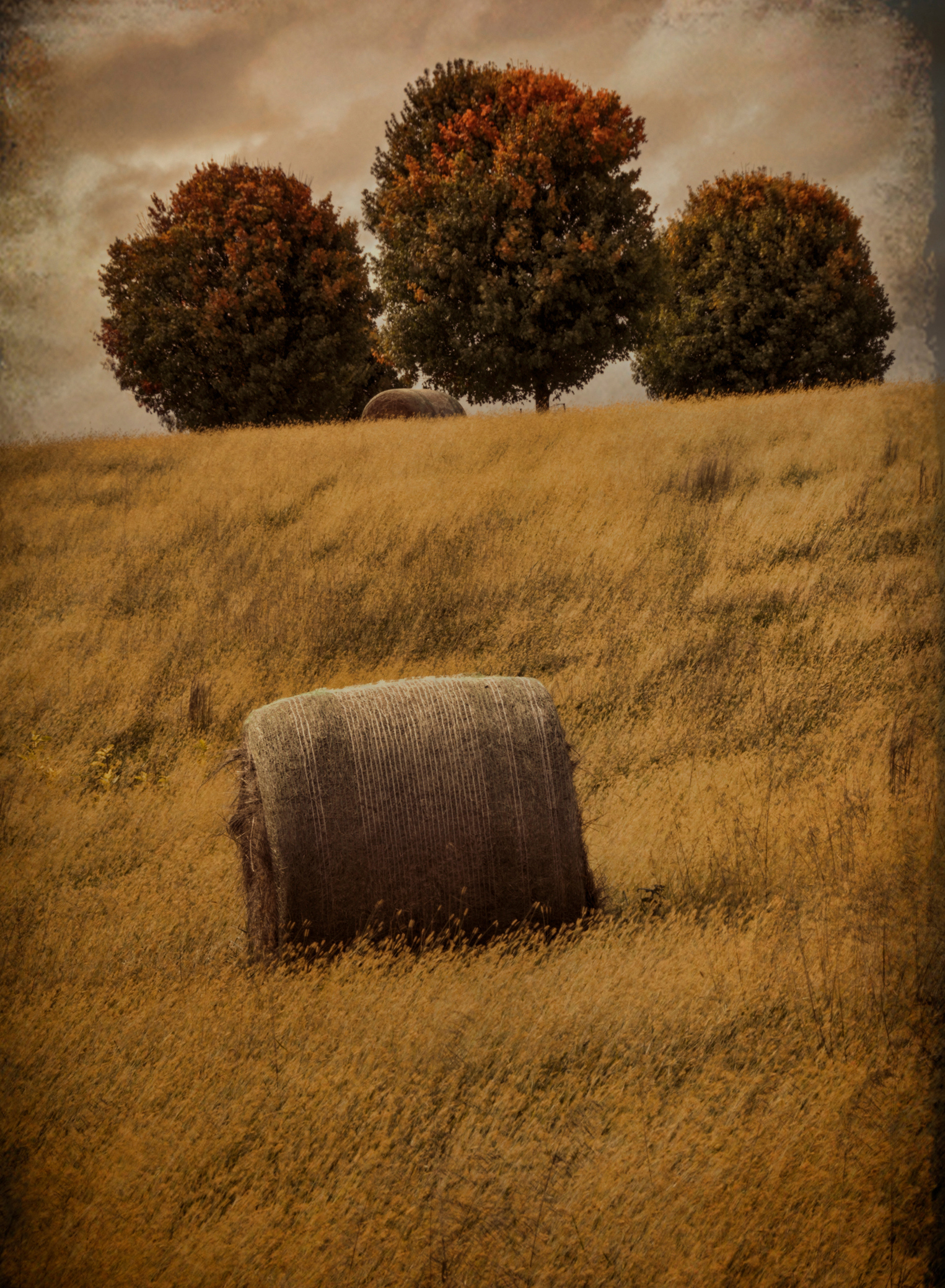 Print 4...Hay bales...