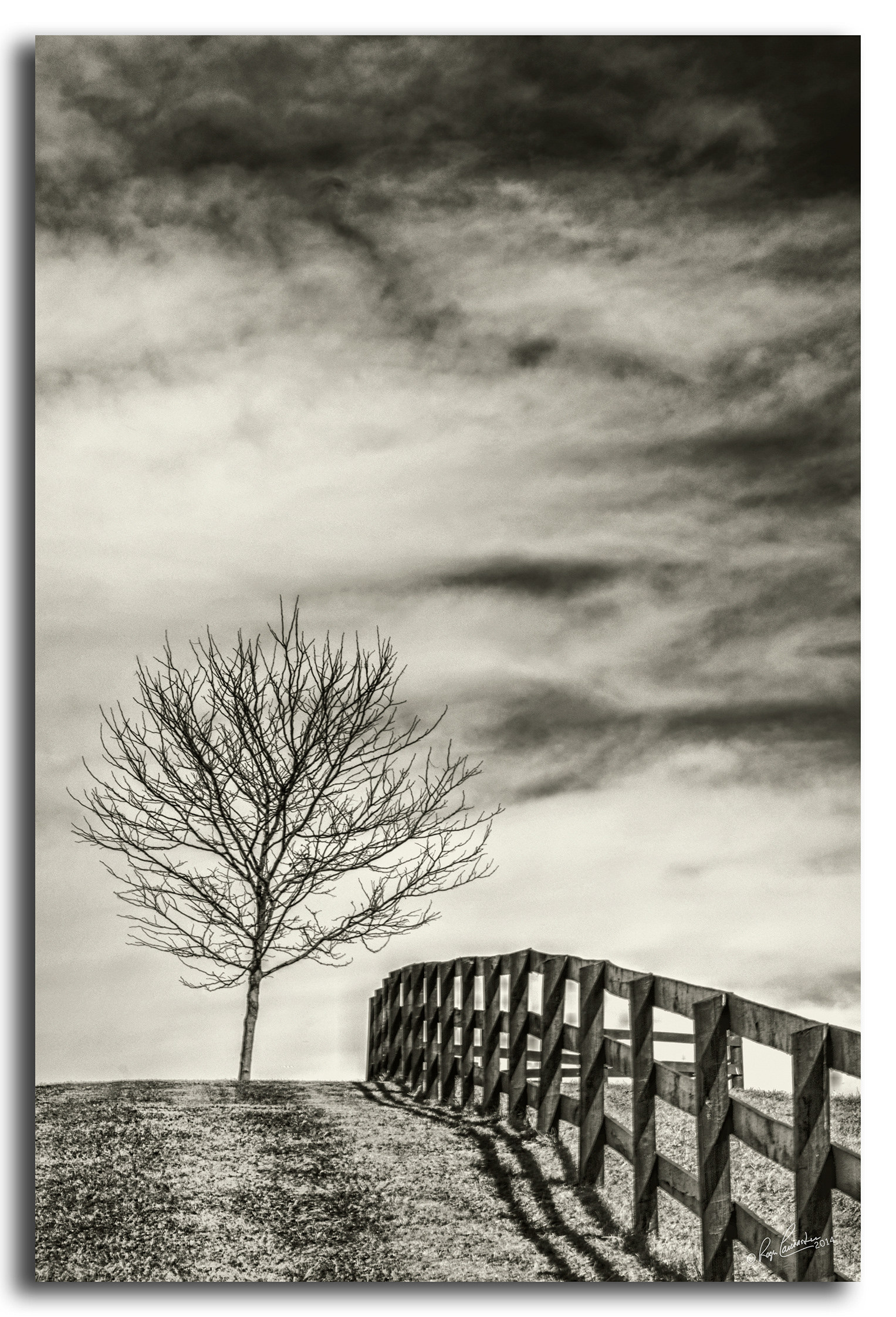 Print 51