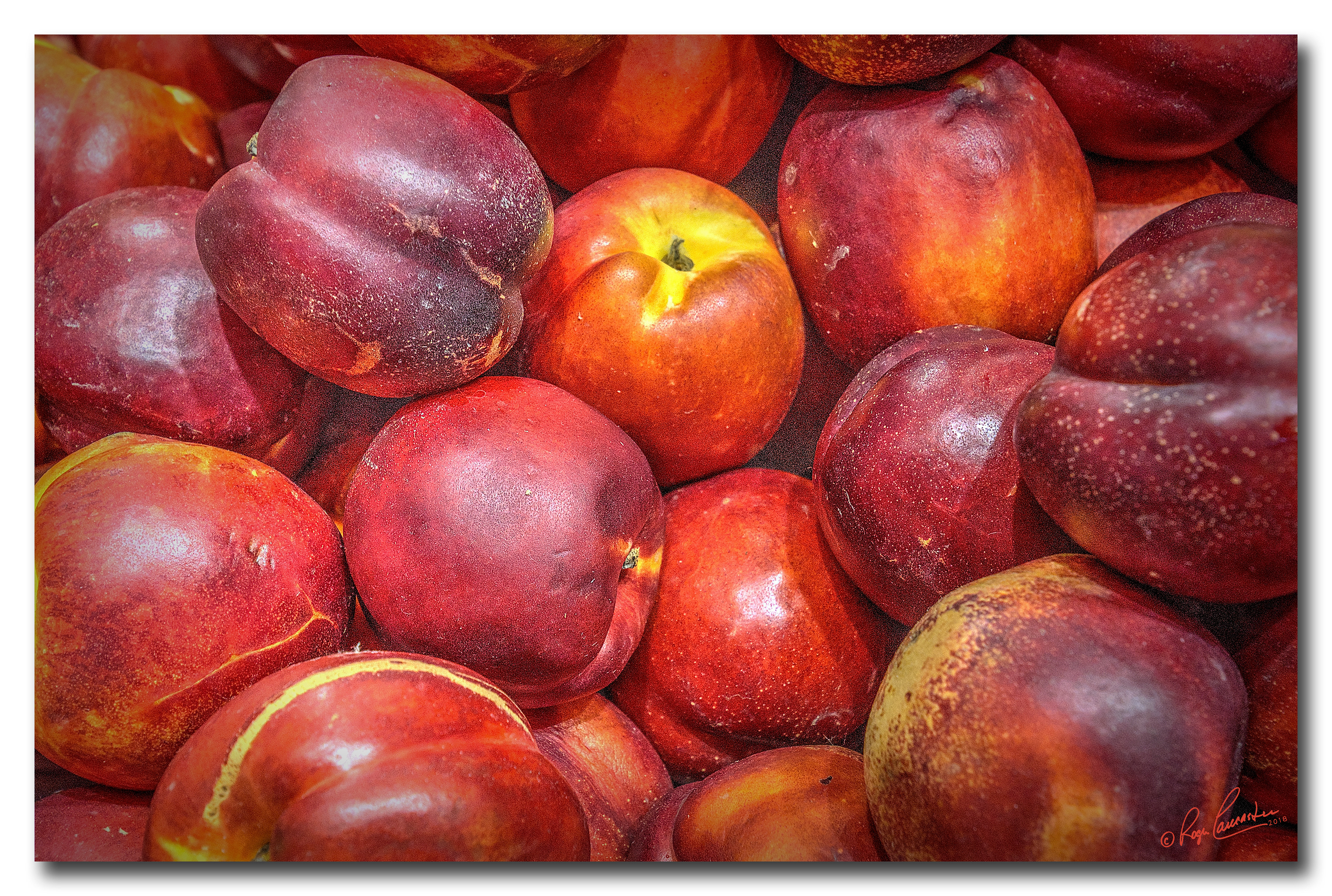 Print 9...Plums galore....