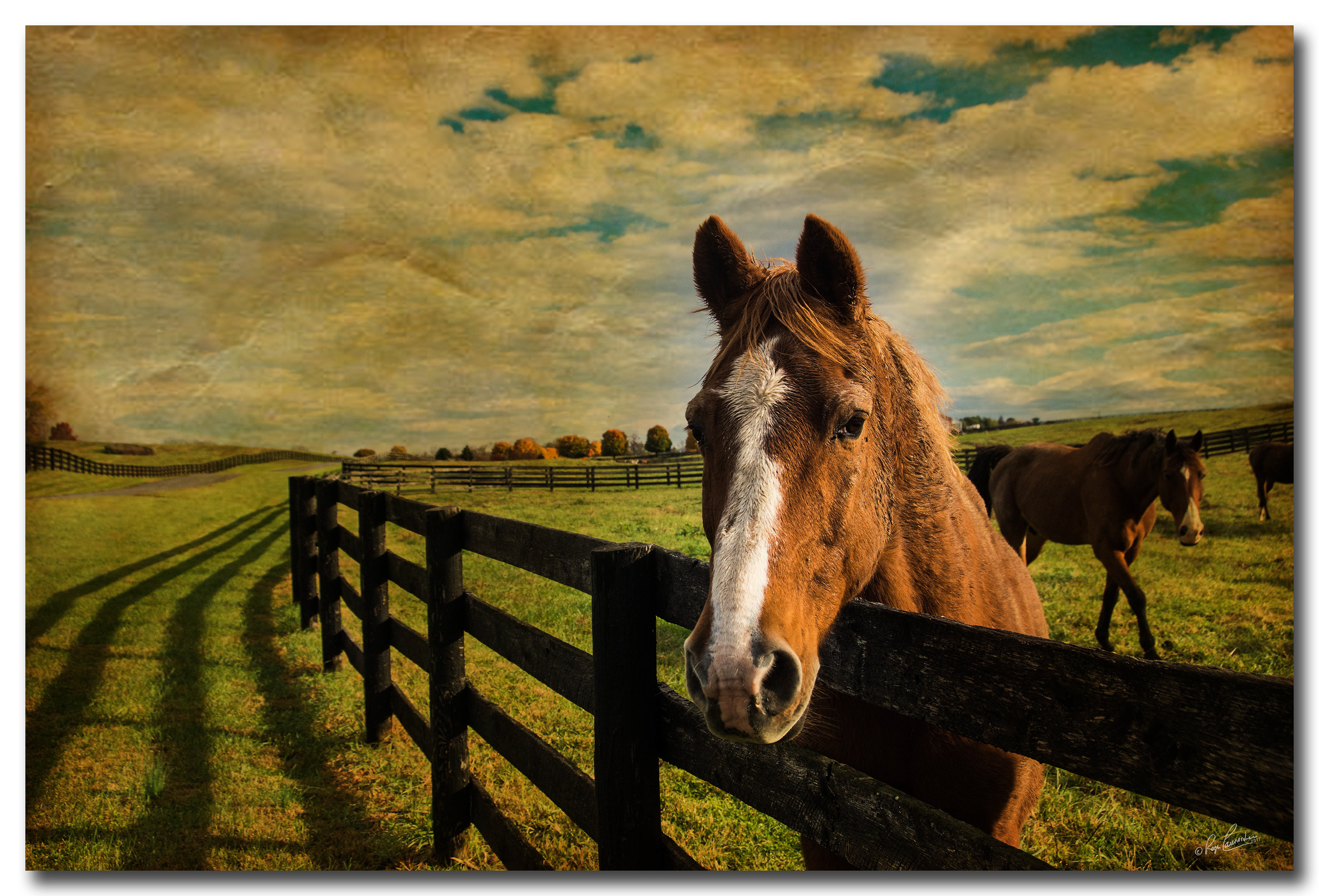 Print 13...On Long Branch farm....