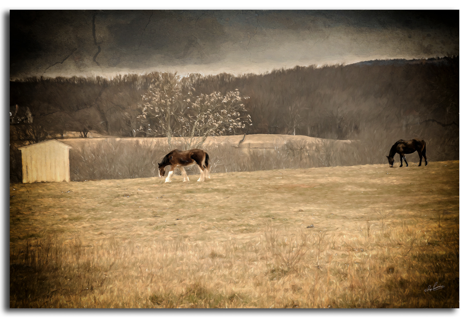 Print 43....Horse pasture in Loudoun County