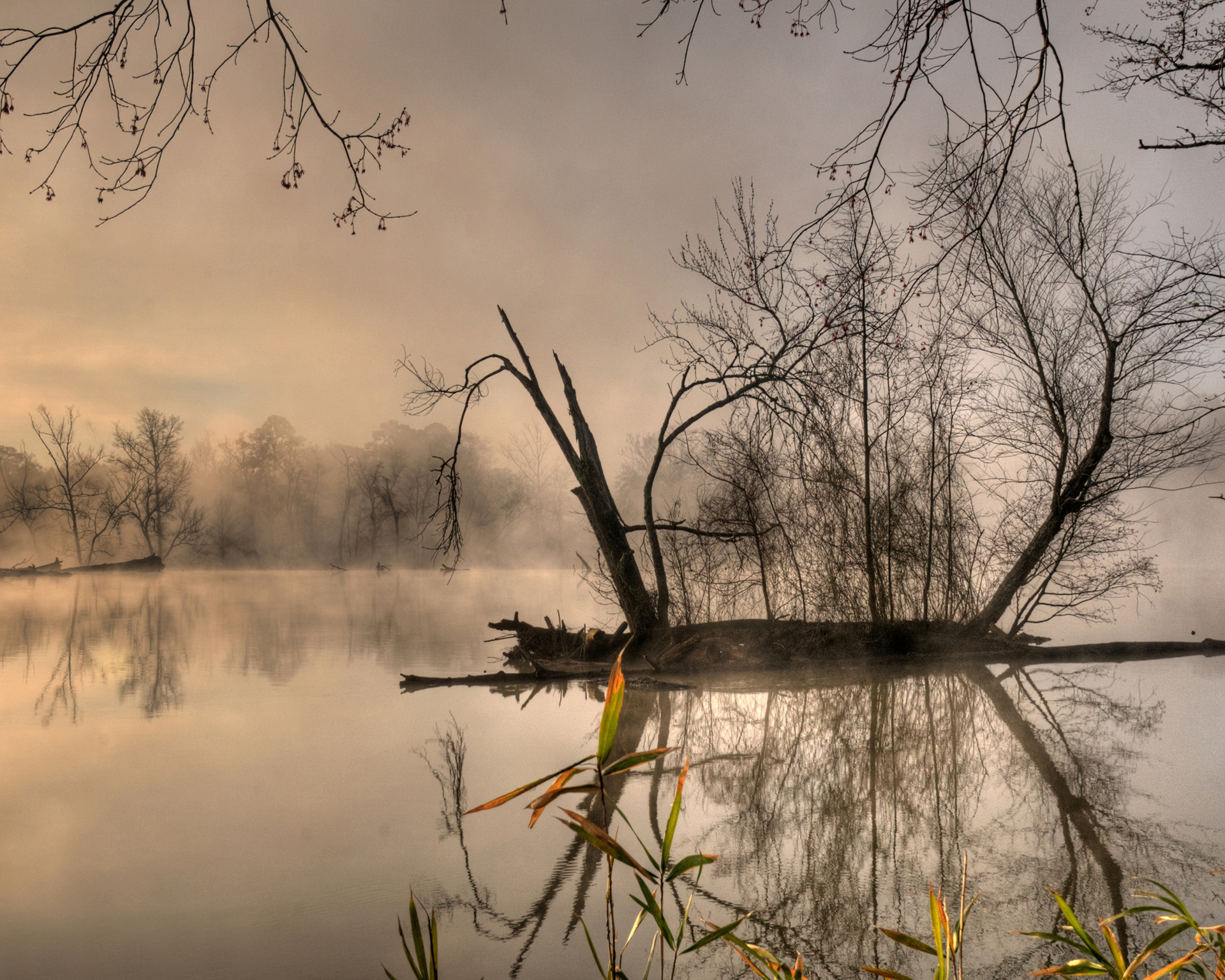 Print 4...An Ocmulgee River island...