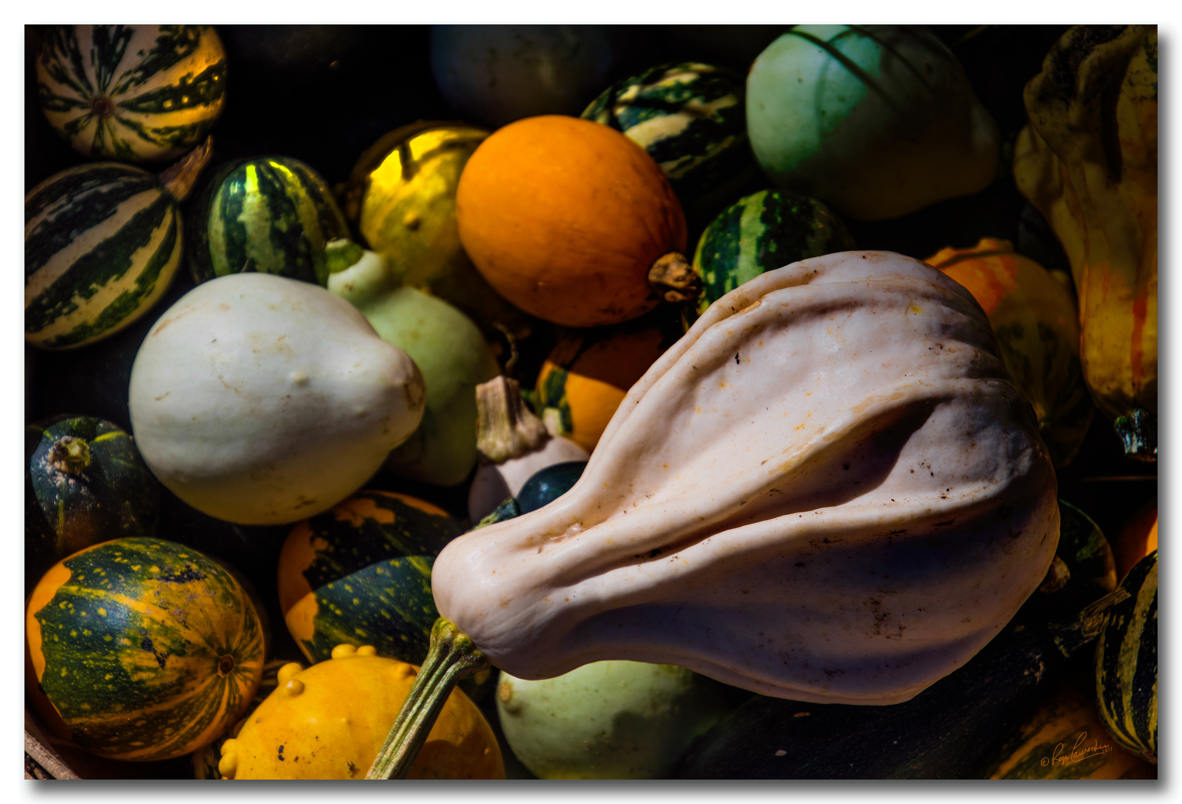 Print 3...Root Veggies #2...