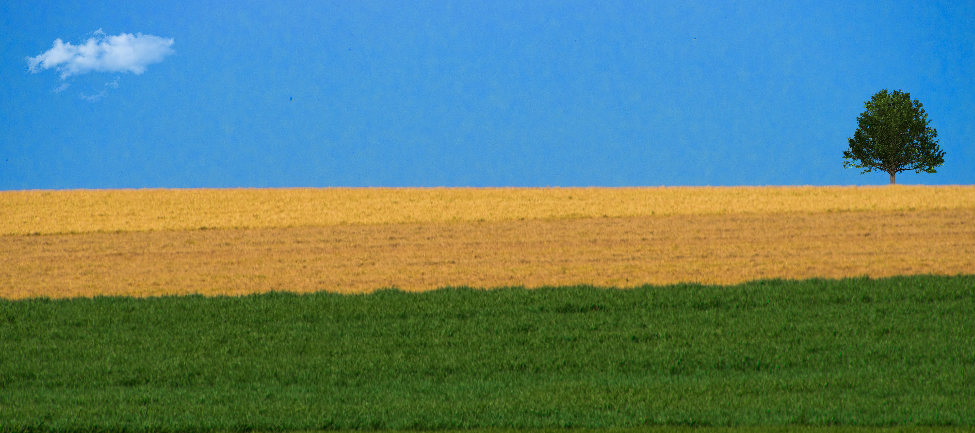 Print 4...The field...