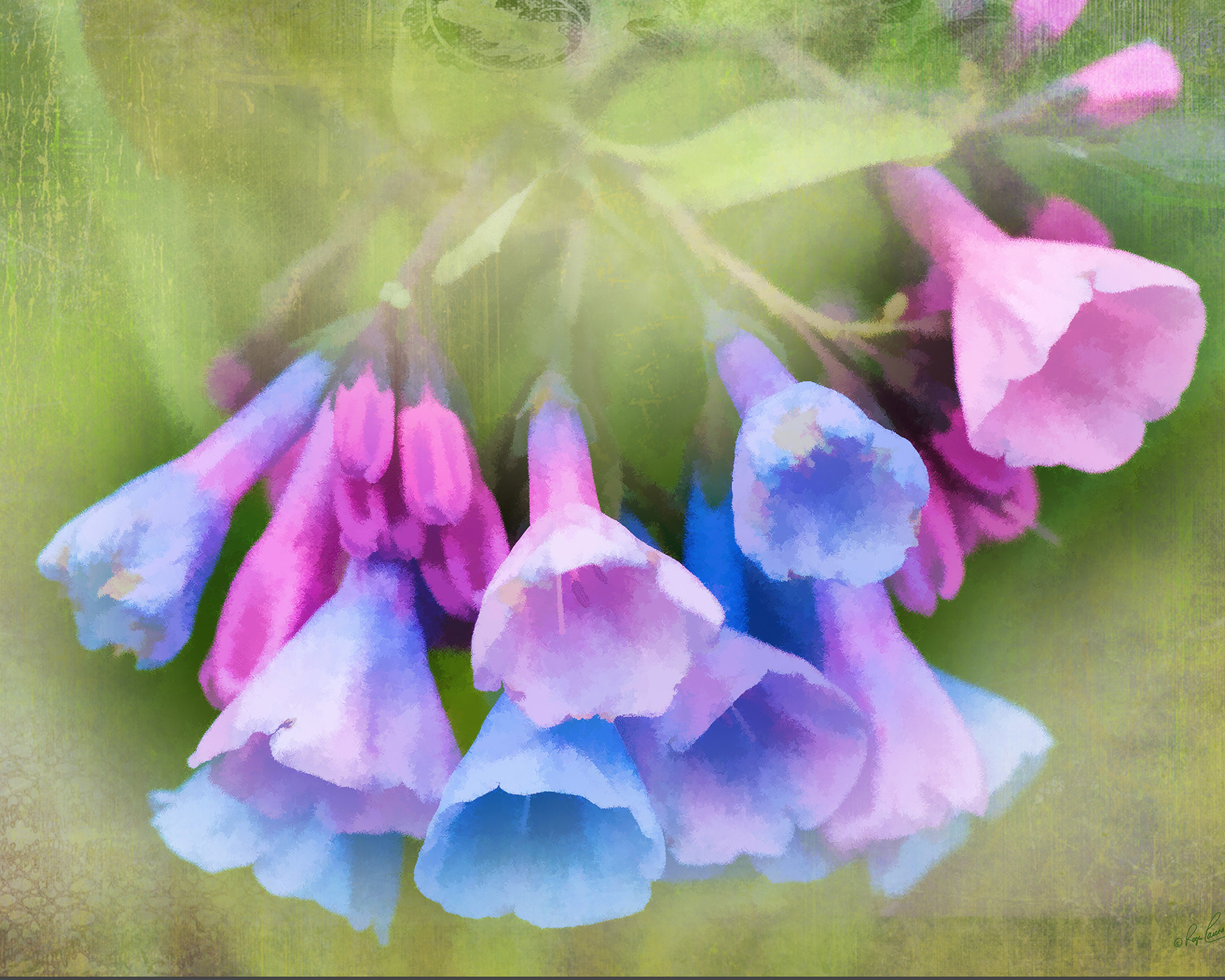 Print 3...Virginia blue bells #1...
