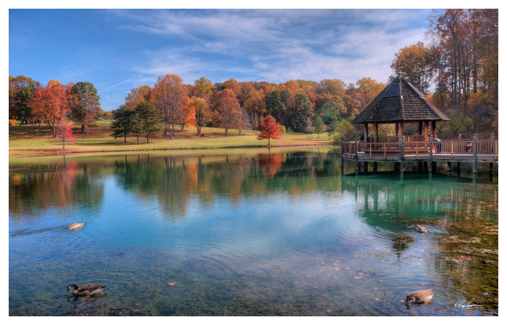 Print 9...Meadowlark Gardens