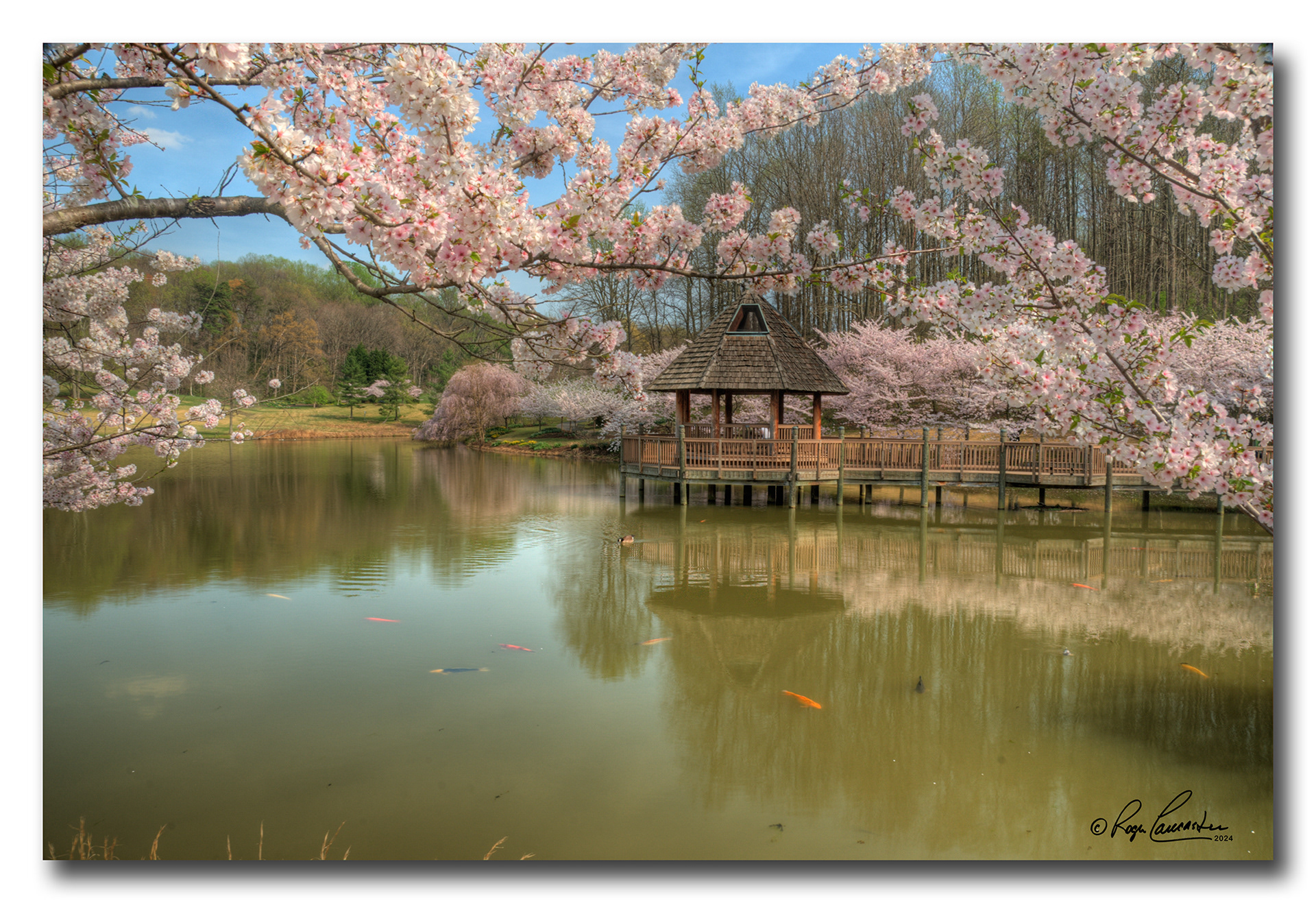 Print 11...Meadowlark Gardens