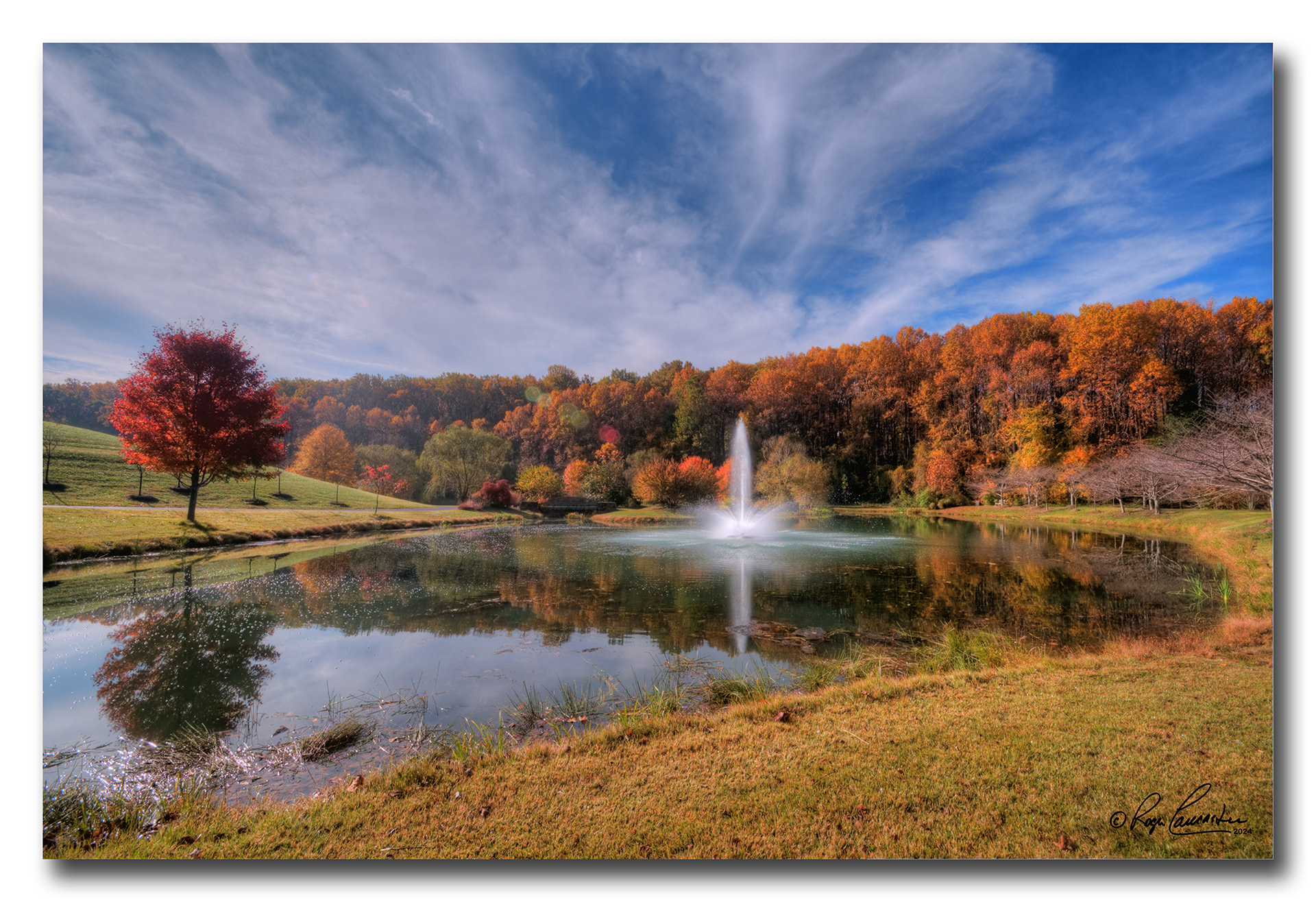 Print 8....Meadowlark Gardens