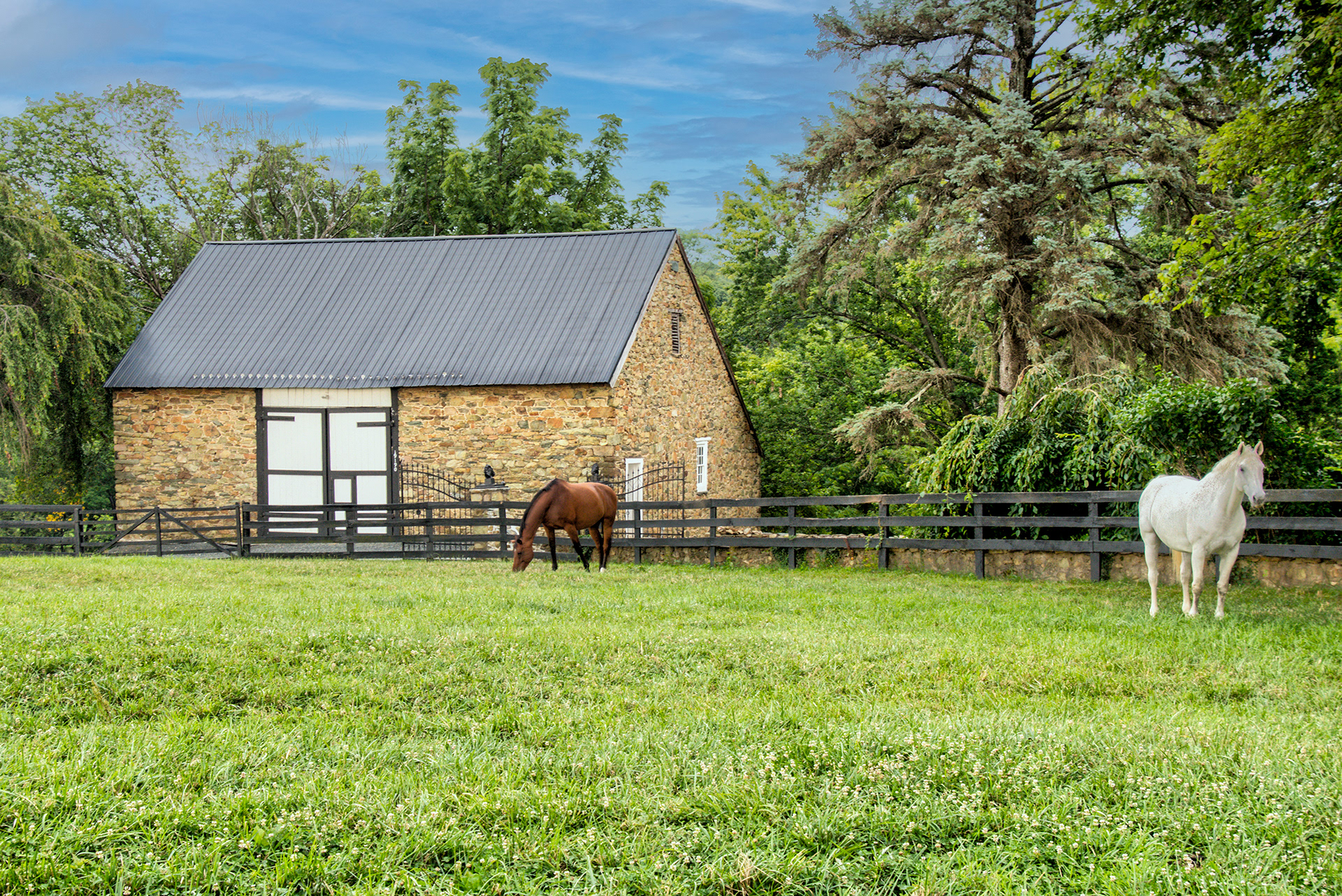 Print 45....Orchard Lane Show Stables